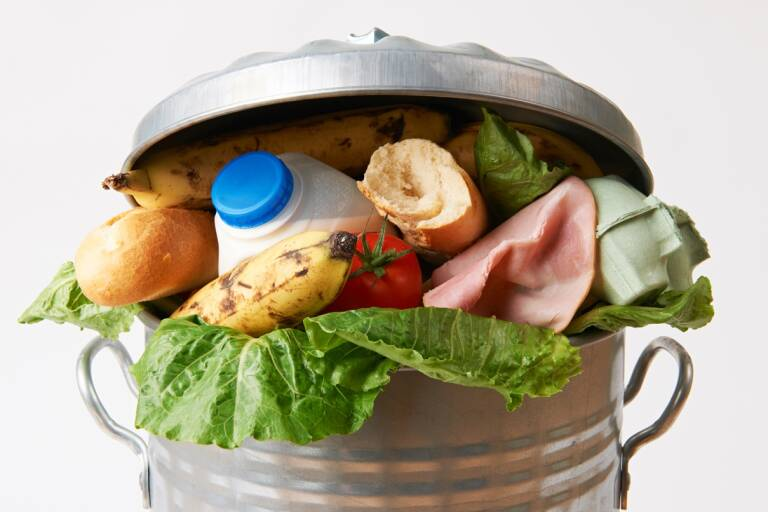 Comprar y tirar: guía para evitar el desperdicio alimentario