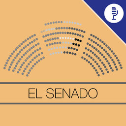 El Senado de Alicante Plaza analiza el fenómeno Topuria