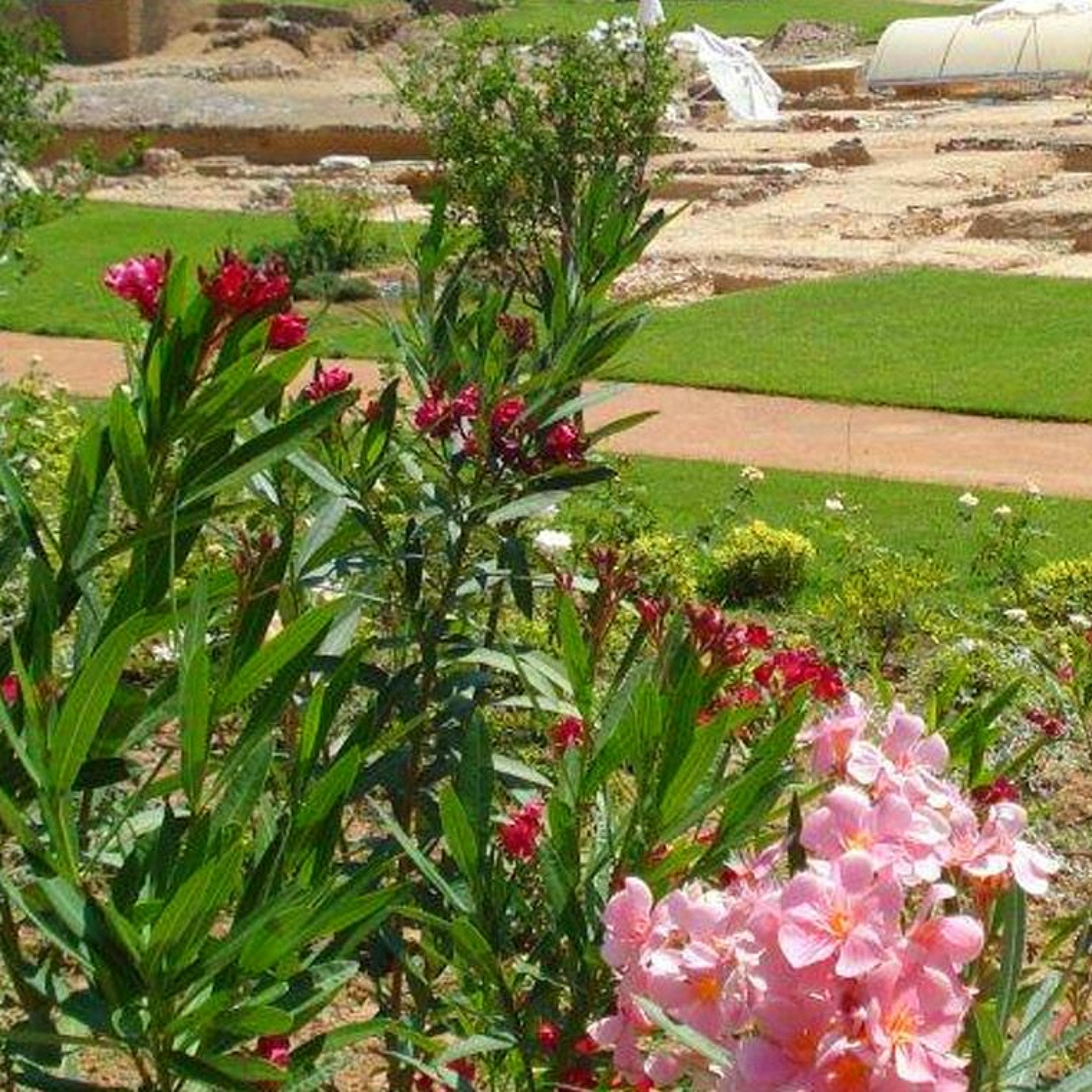 Hillsdale Dialogues 04-01-22: Aristotle on Friendship, Part I