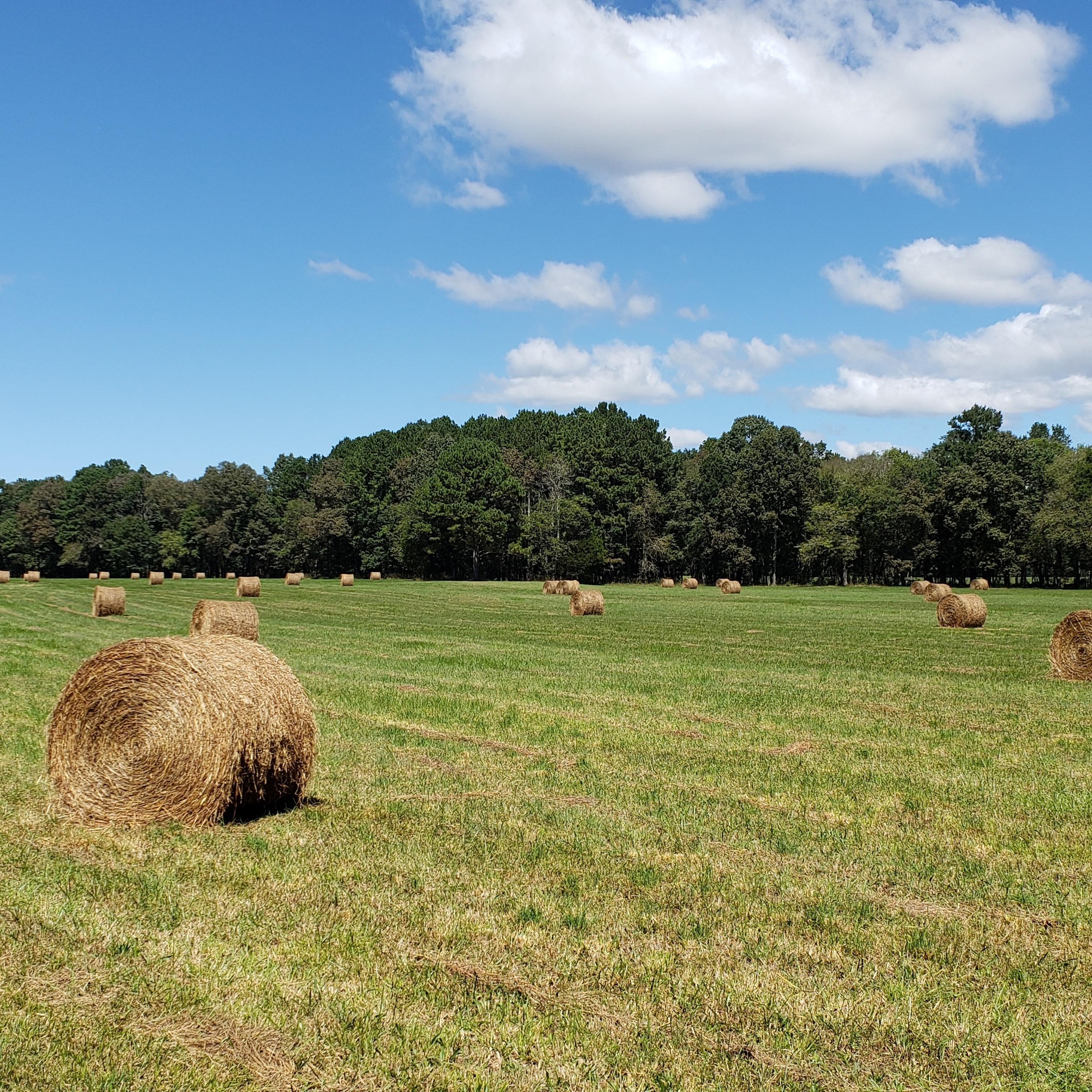 Hillsdale Dialogues 09-02-22: The State of Education in Our Nation, Summer 2022