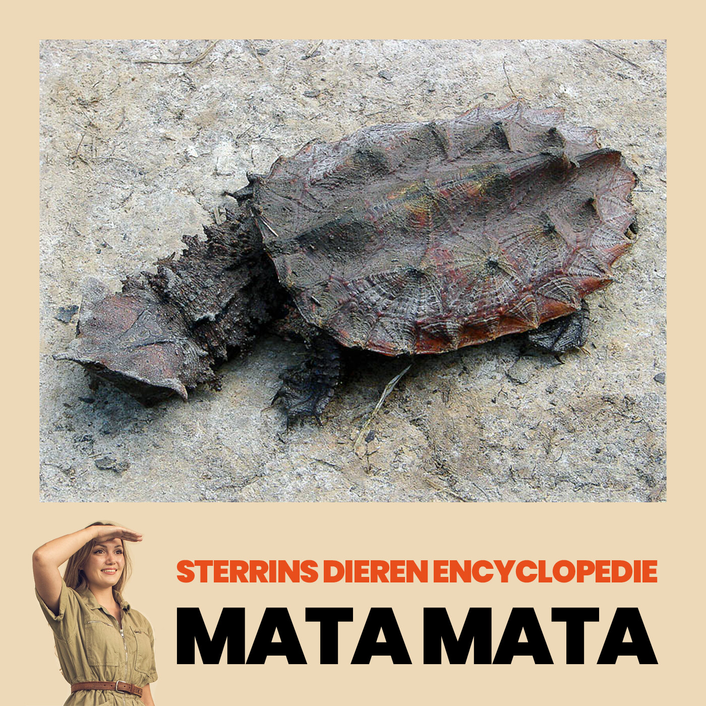 Sterrin\'s Dierenencyclopedie