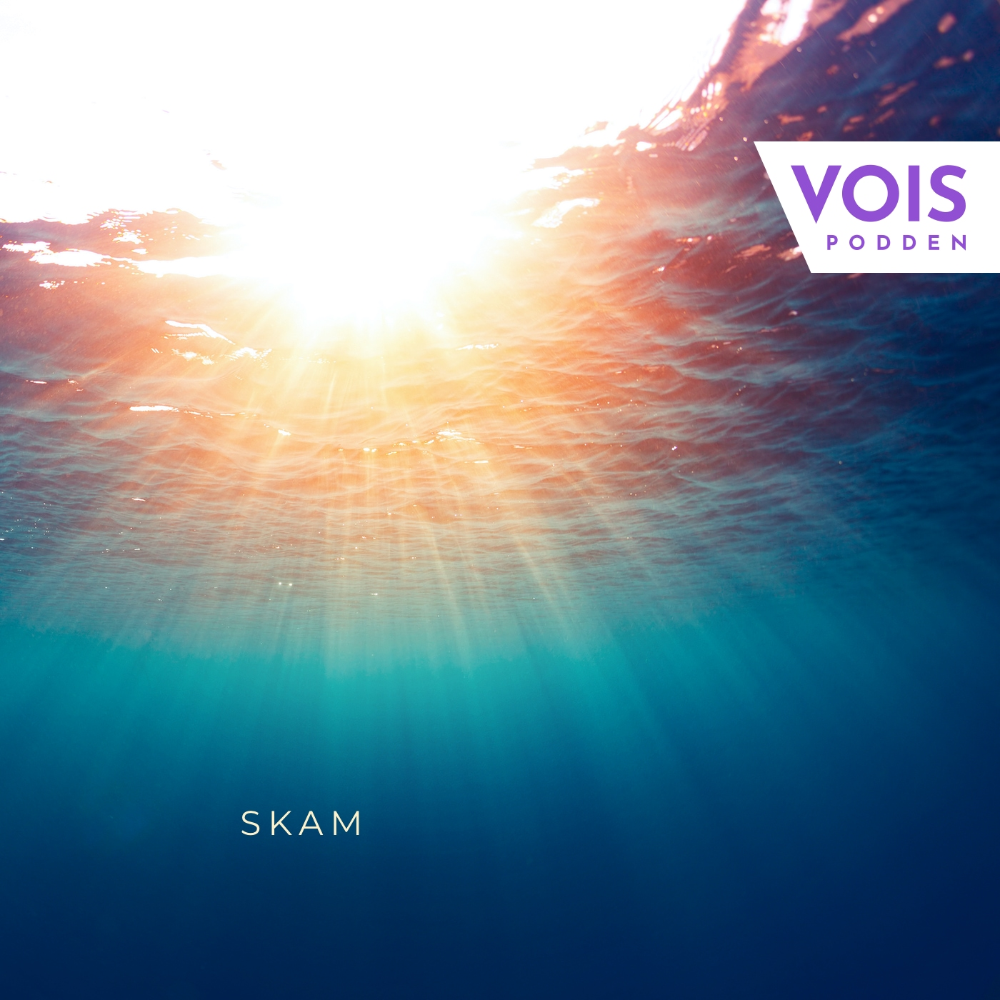 VOIS-podden