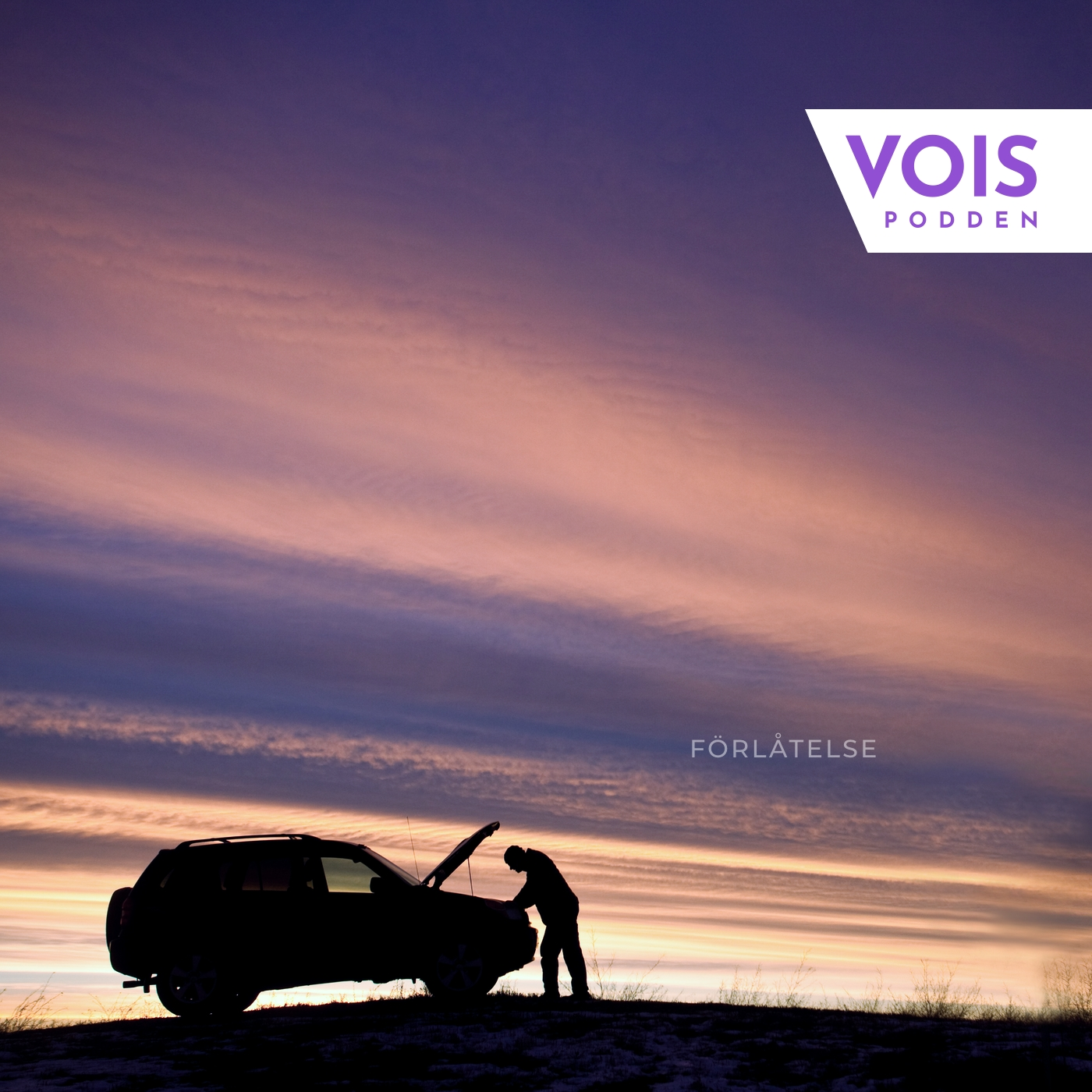 VOIS-podden