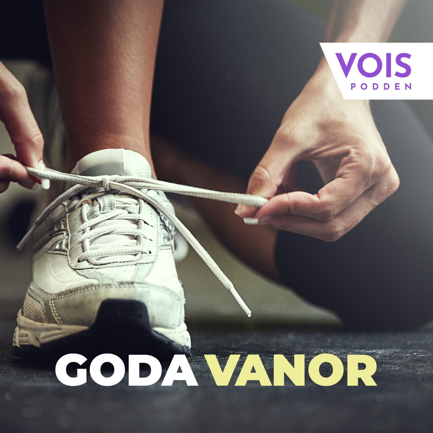 VOIS-podden