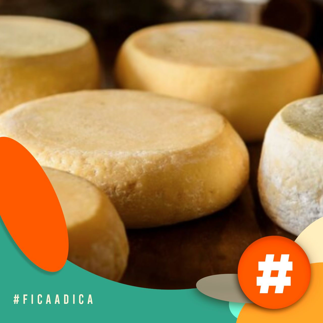 Fica a Dica - Hoje é o dia mundial do queijo, vamos celebrar?