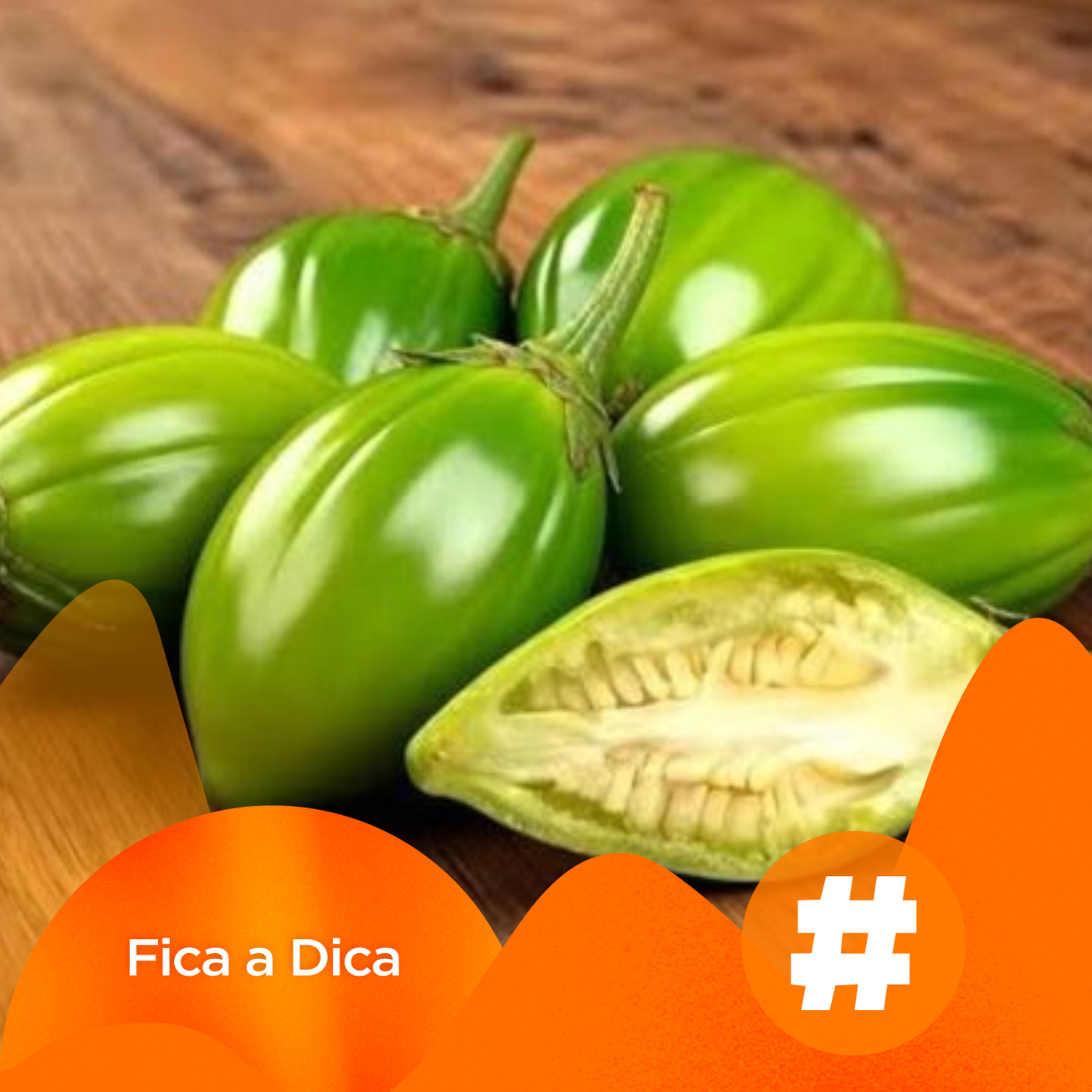 Fica a Dica – Você já pensou em participar de um festival de jiló? Agora é possível!