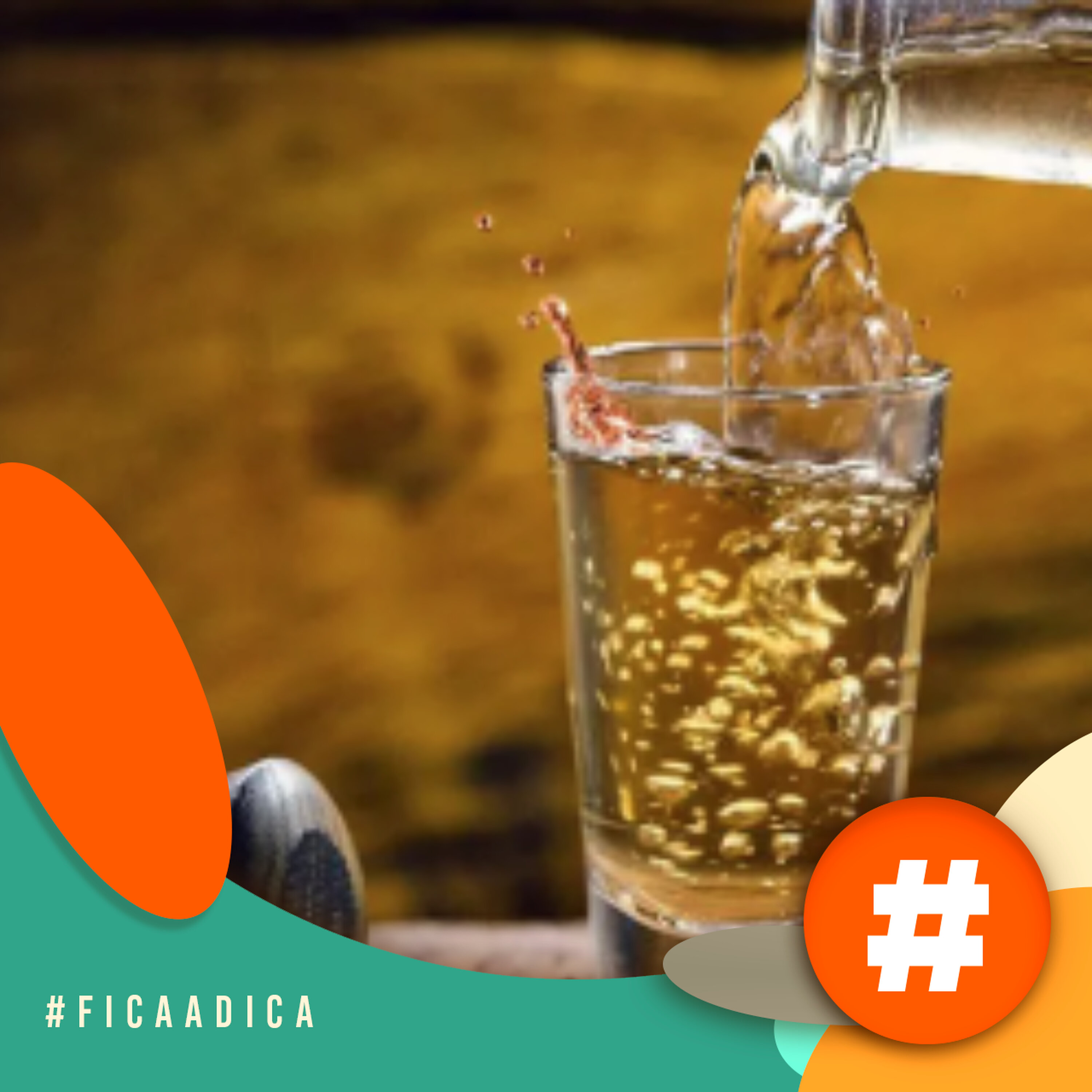 Fica a Dica – Lugares para experimentar Cachaças Mineiras de qualidade