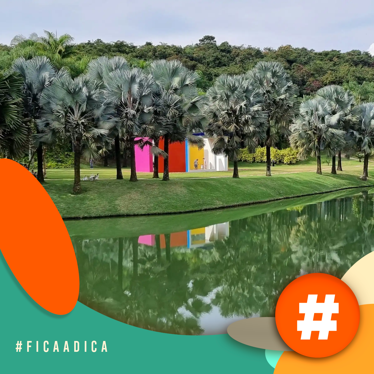Fica a Dica - Inhotim celebra 20 anos com 3 novas exposições episode artwork