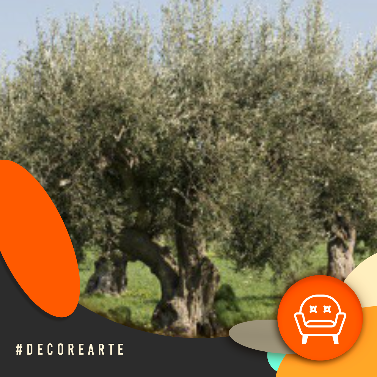 Decor e Arte
