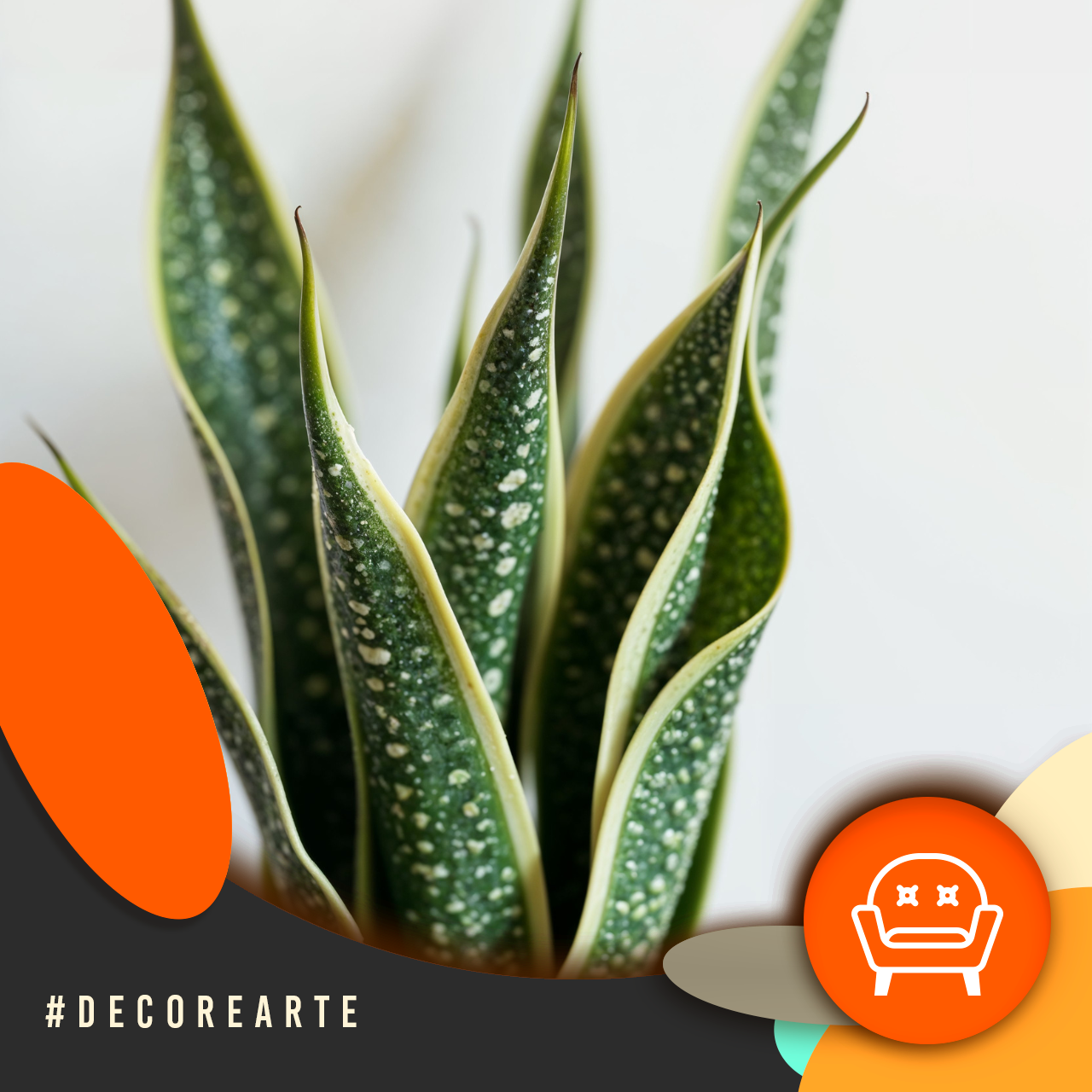 Decor e Arte - Plantas para renovar as energias