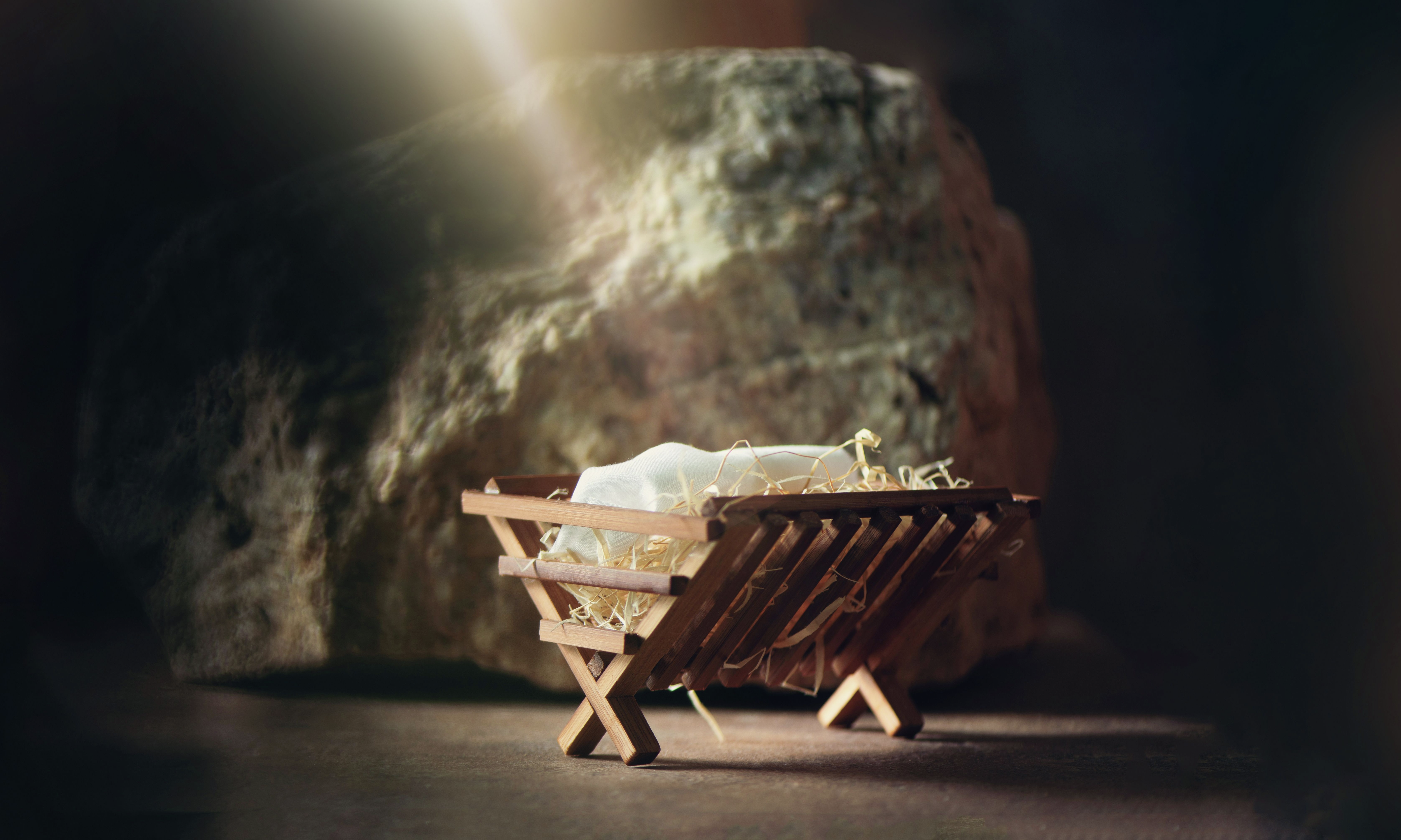 Christ Came into the World to Save Us from the Evil One (Special Podcast Highlight) episode artwork