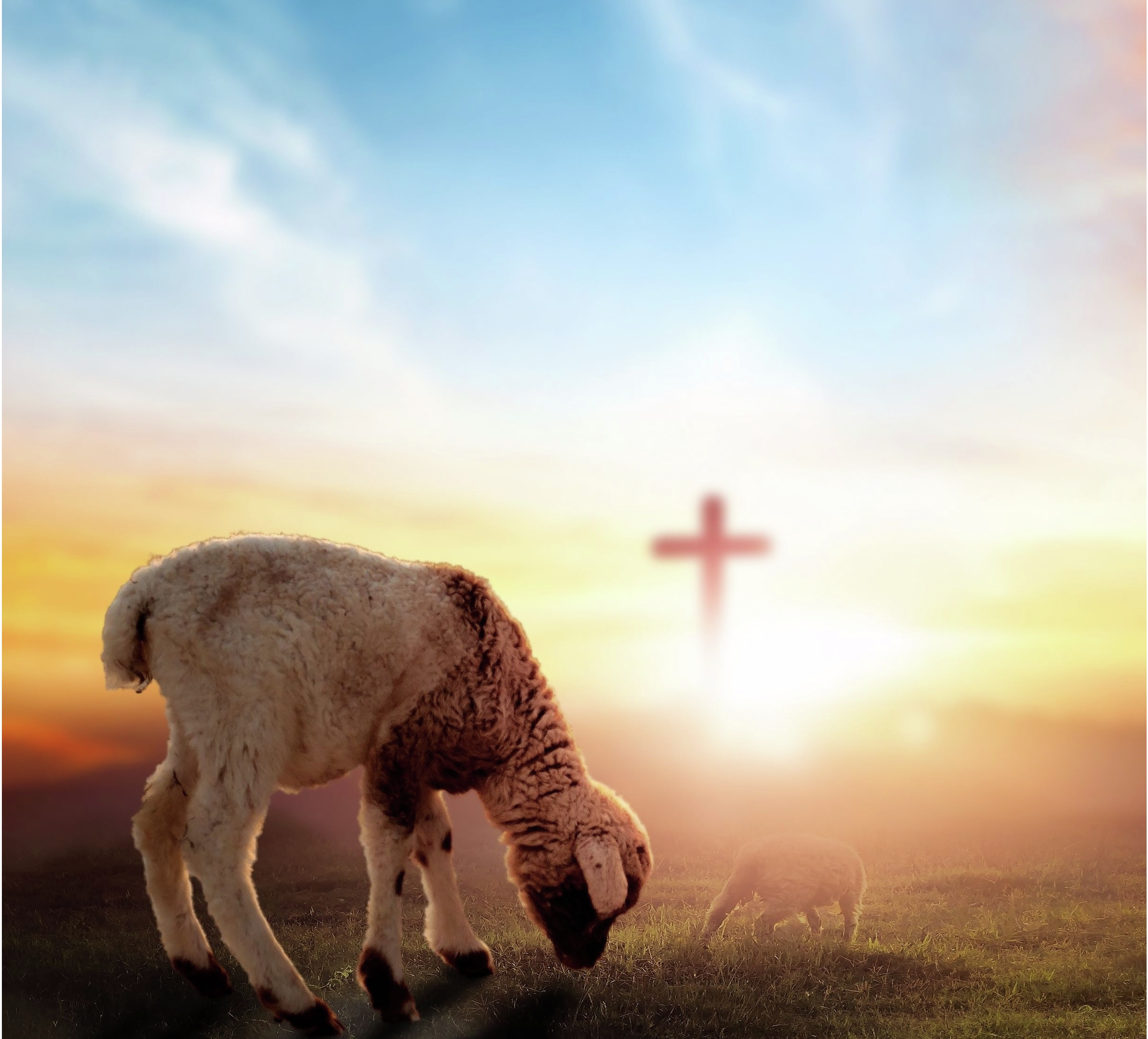 The Fourth Cup: A Powerful Connection Between Passover & The Cross (Father Simon Says) episode artwork
