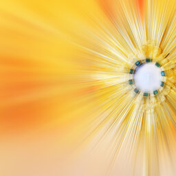 Healing from the Trauma of Abuse (The Patrick Madrid Show) episode artwork
