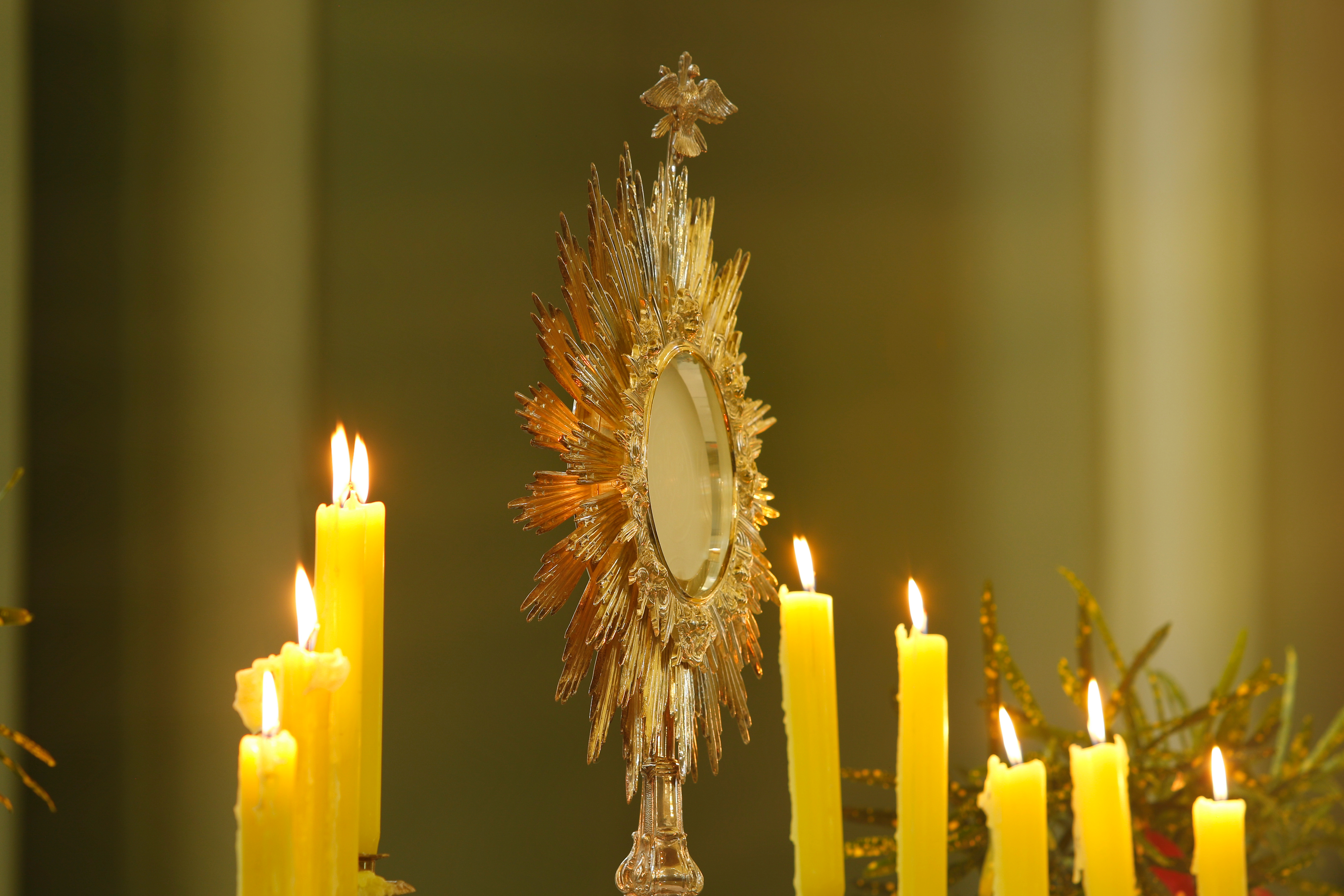 Embracing Belief in the Eucharist (The Drew Mariani Show) episode artwork