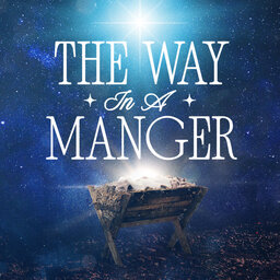The Way In A Manger, Part 2: The Way of Life // Andy Stanley
