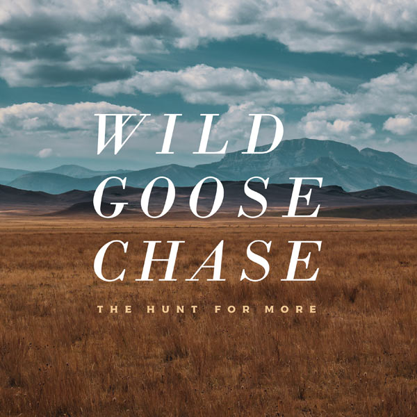 Wild Goose Chase: The Hunt for More // Joseph Sojourner