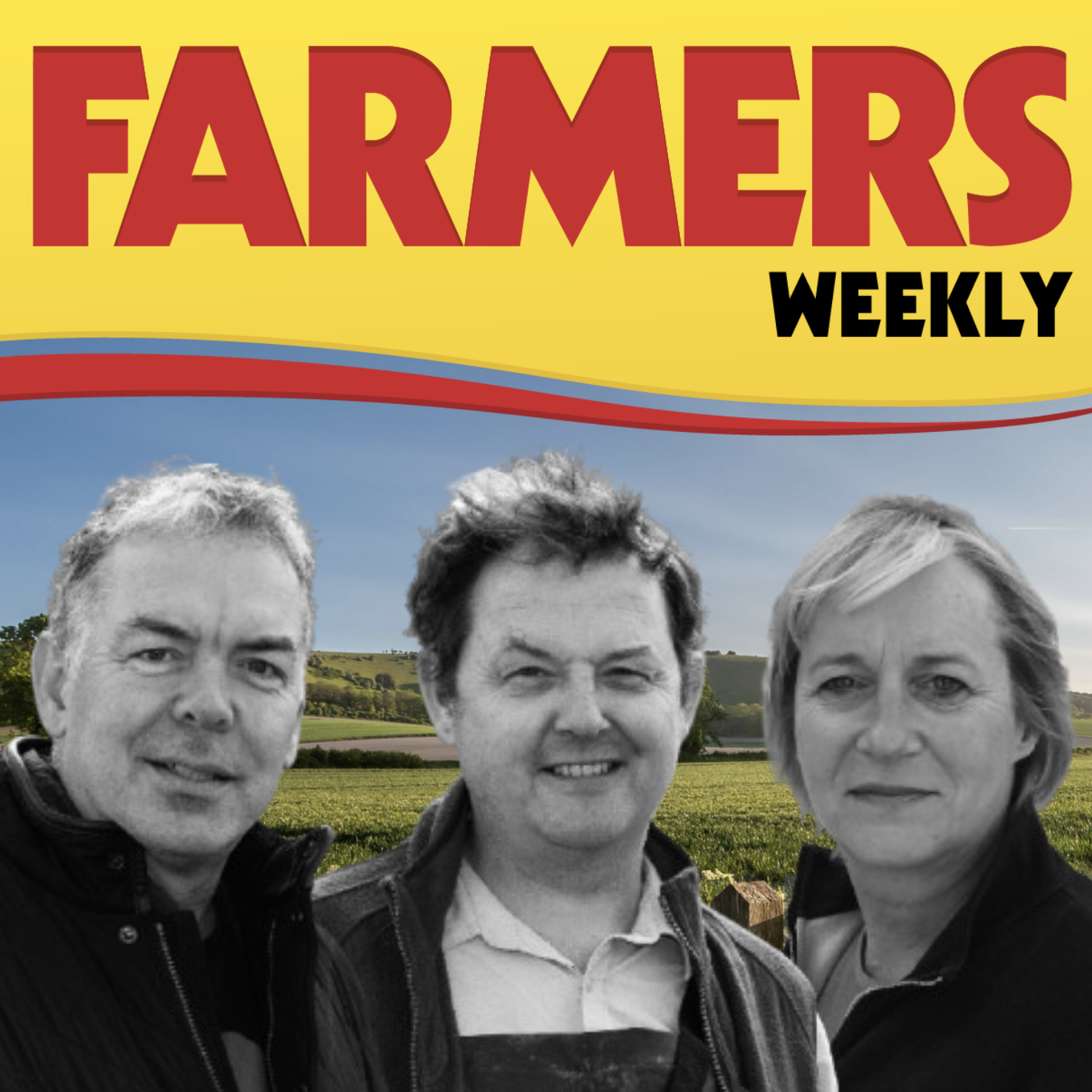 Bluetongue surge, harvest yields explained, and wildlife-friendly farming