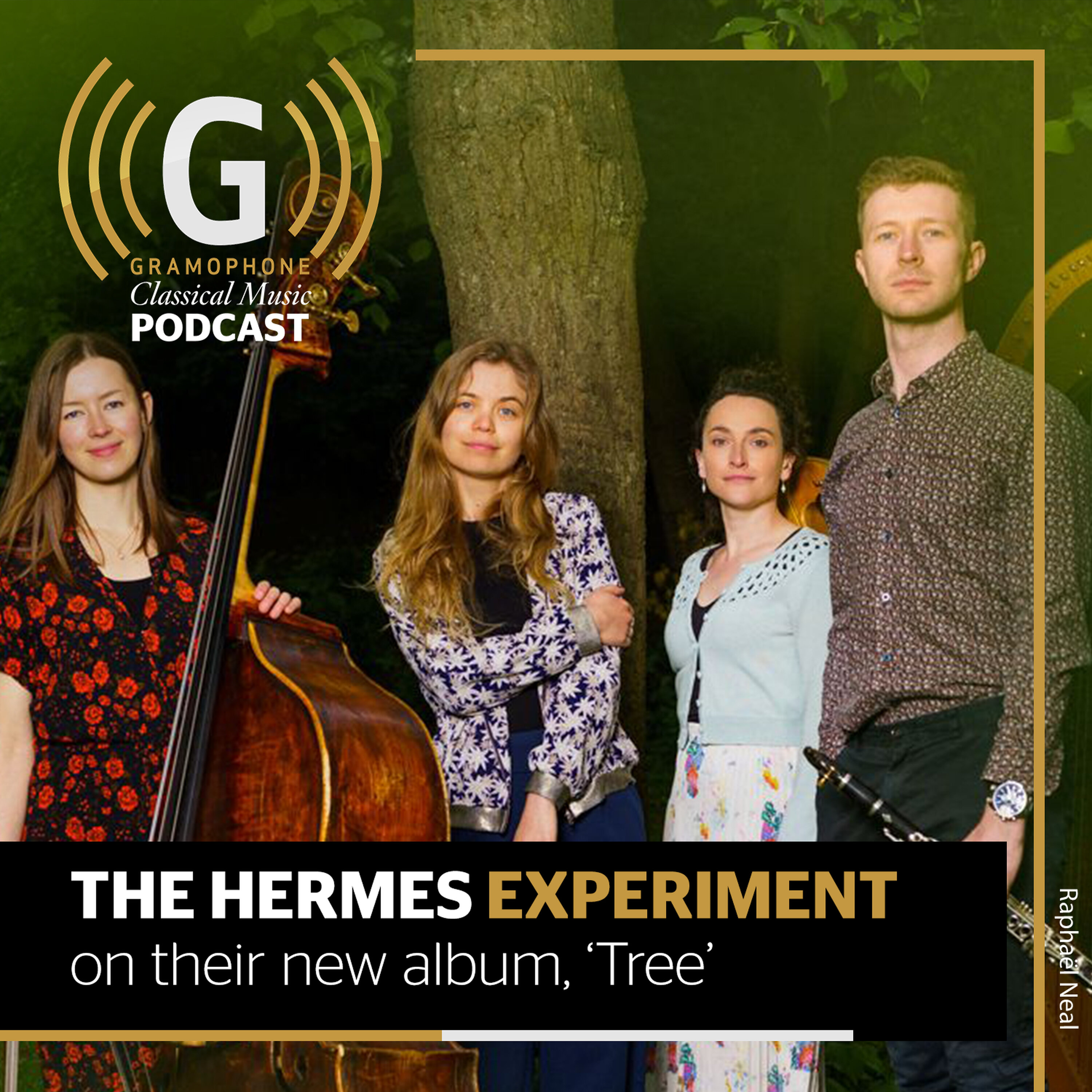 The Hermes Experiment on their new album, Tree