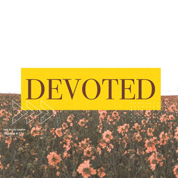 Devoted Part 1 - How Much Does It Cost?