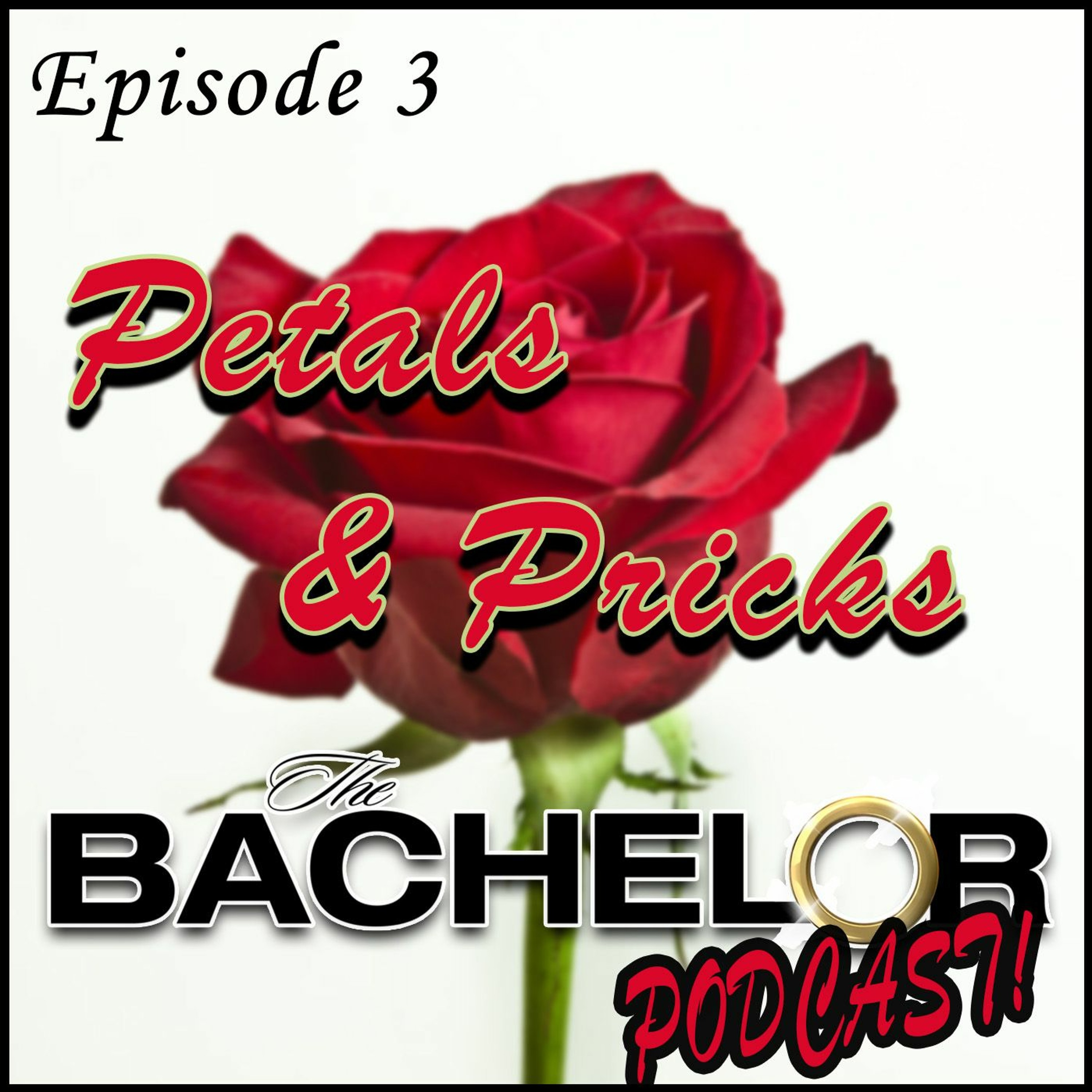 Backstreet's Back, Oh No!! (E03 Week 3 of The Bachelor Season 21) episode artwork
