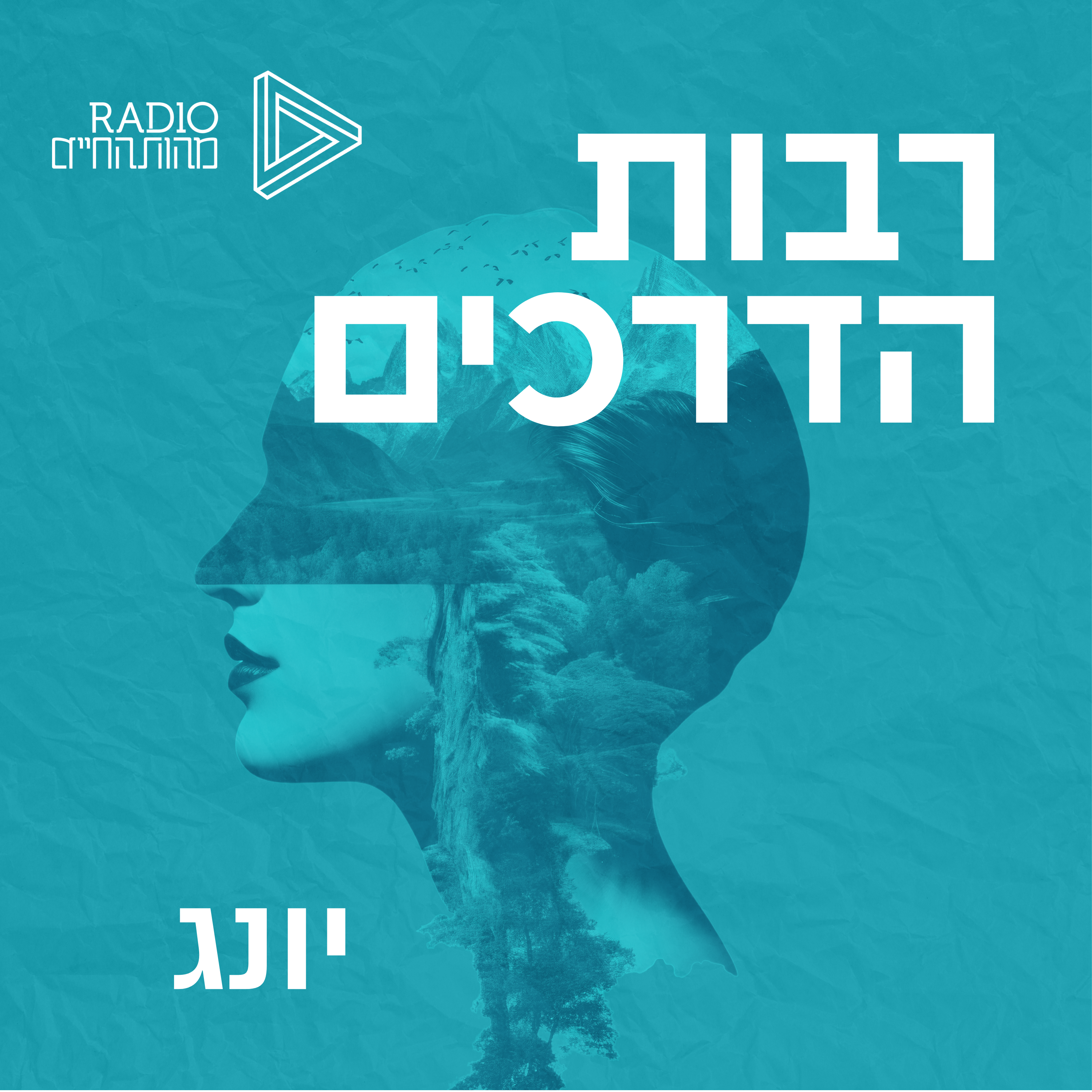 יונג episode artwork