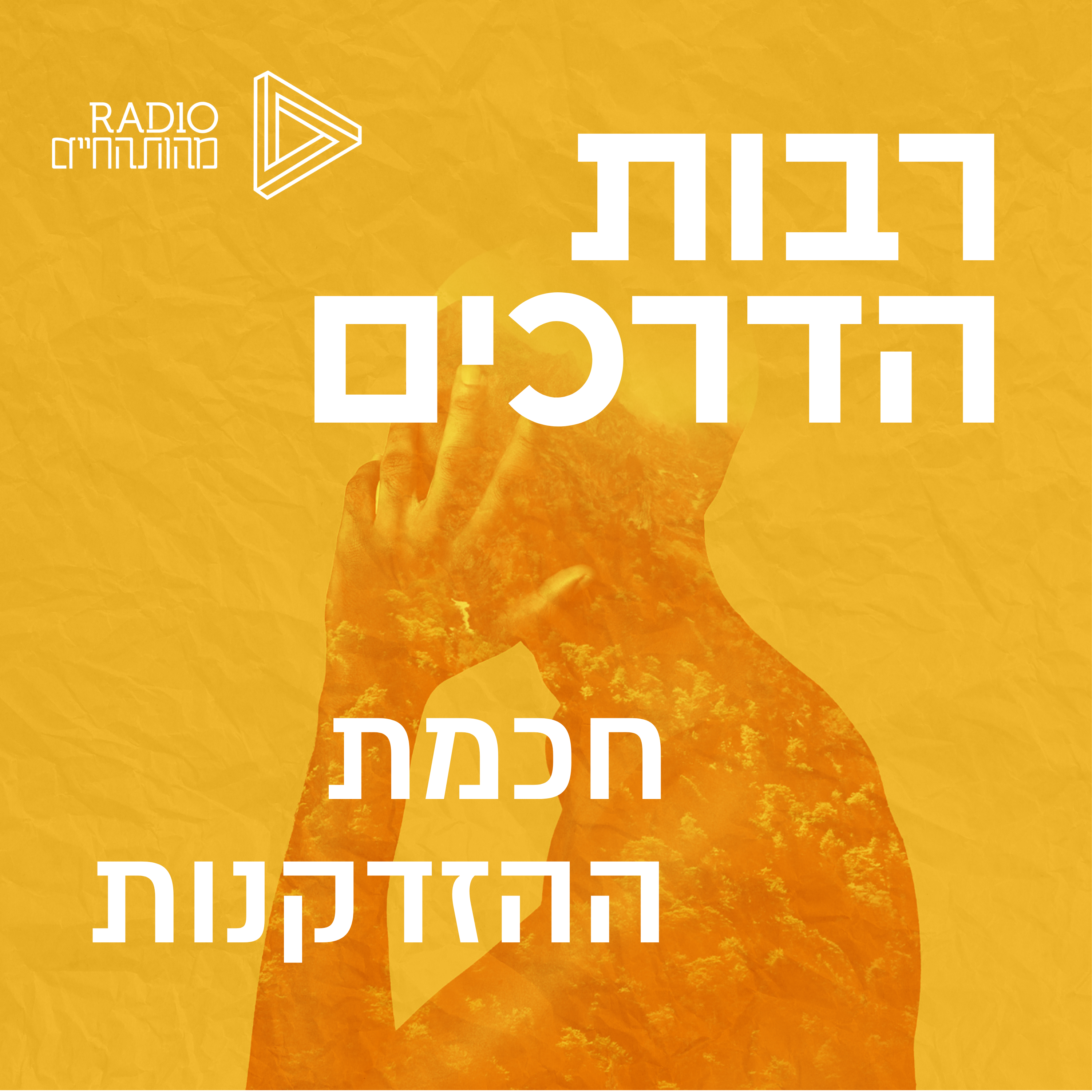 חוכמת ההזדקנות
