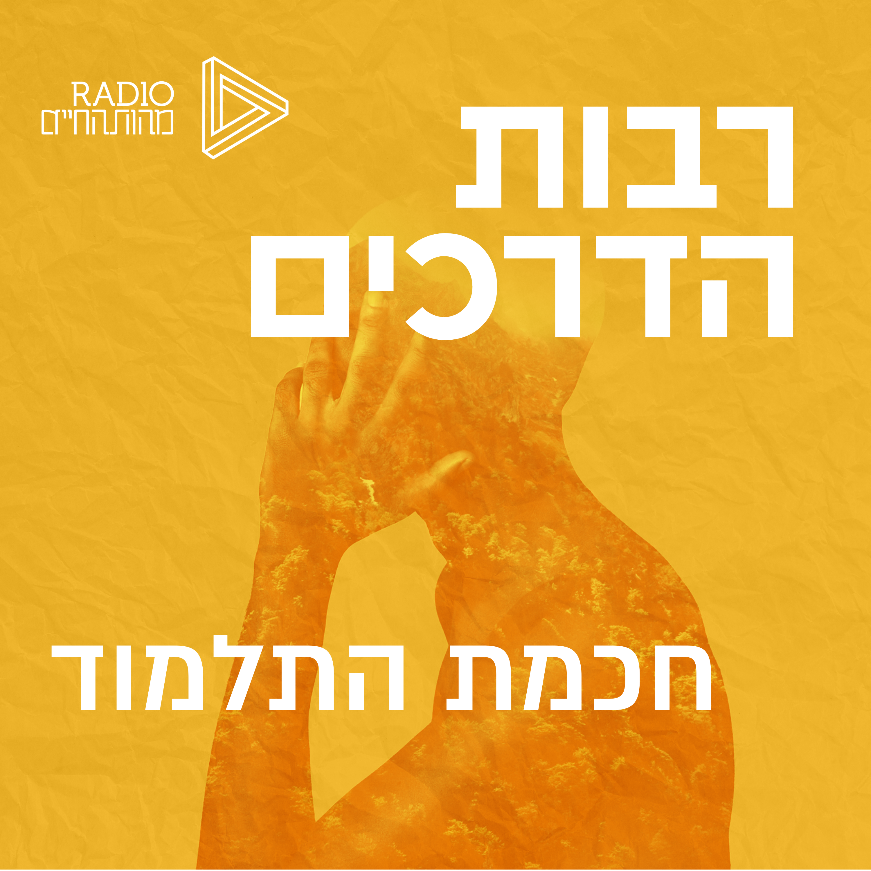חכמת התלמוד episode artwork