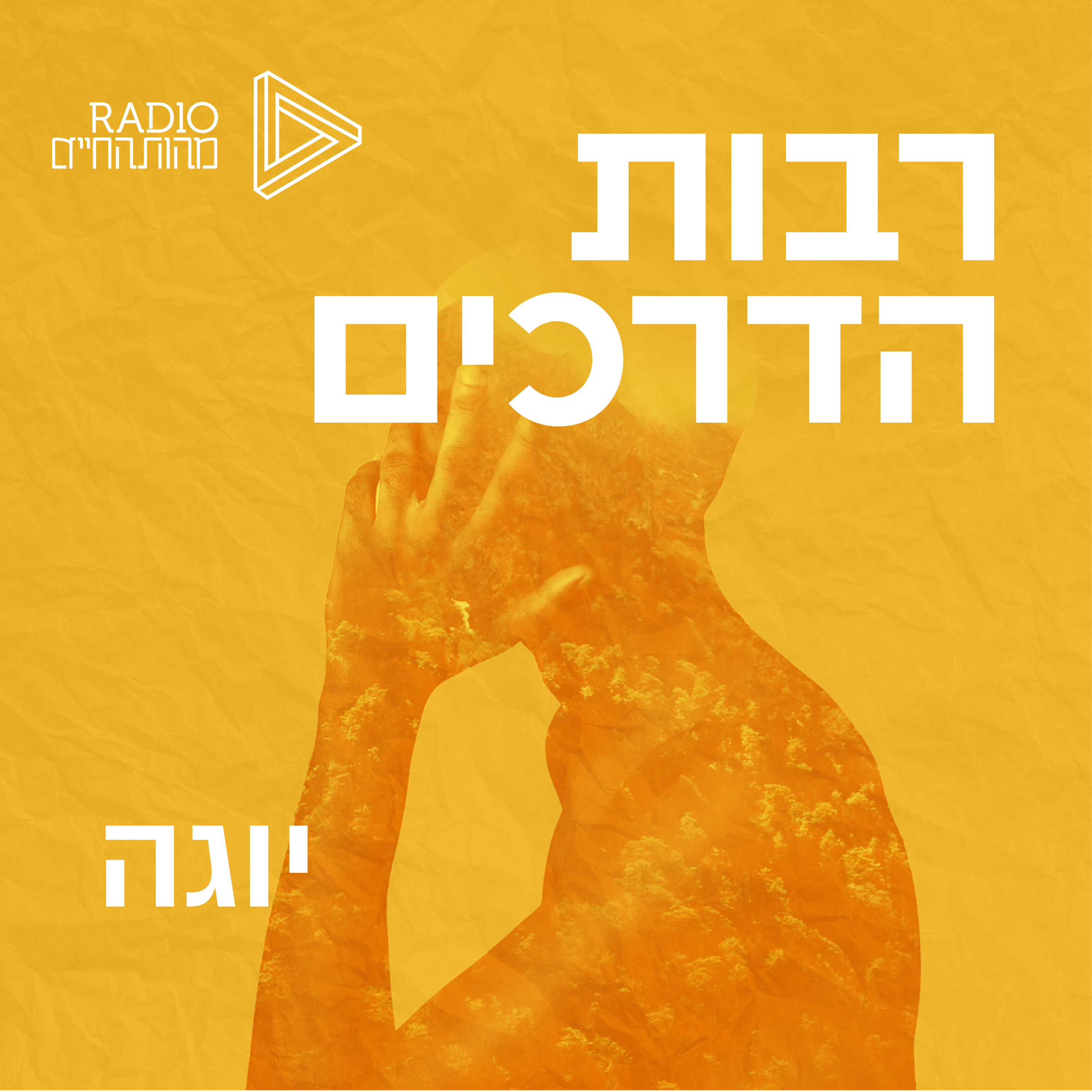 יוגה | זיוה כנרות