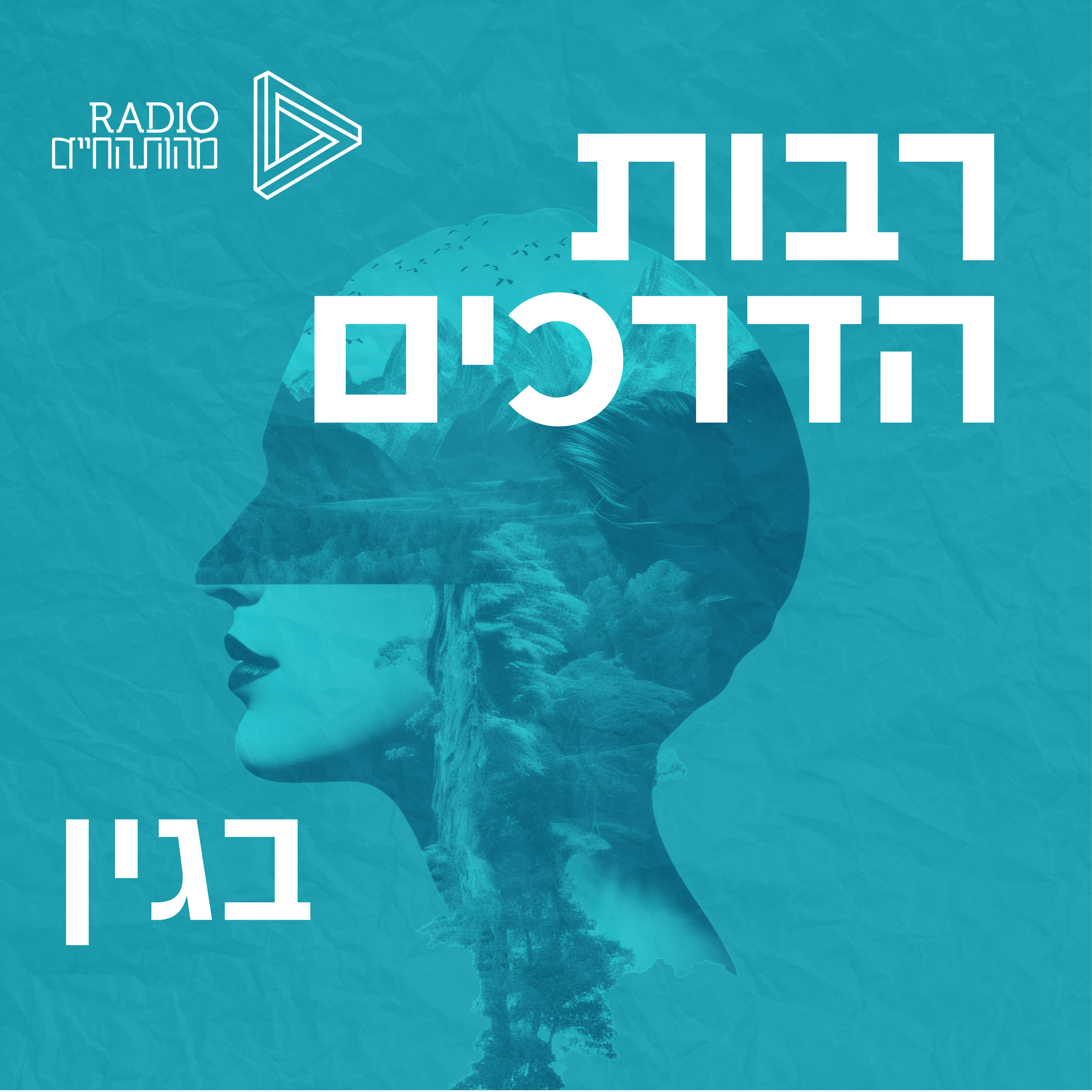 בגין episode artwork