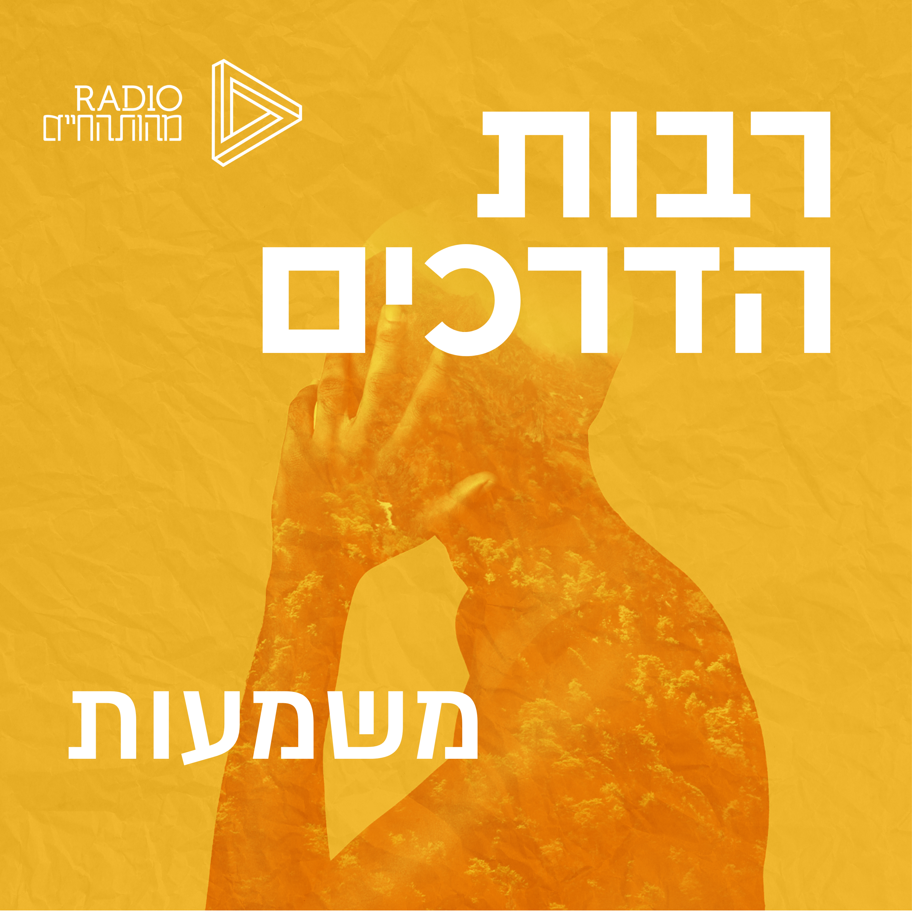 מחפשים משמעות episode artwork
