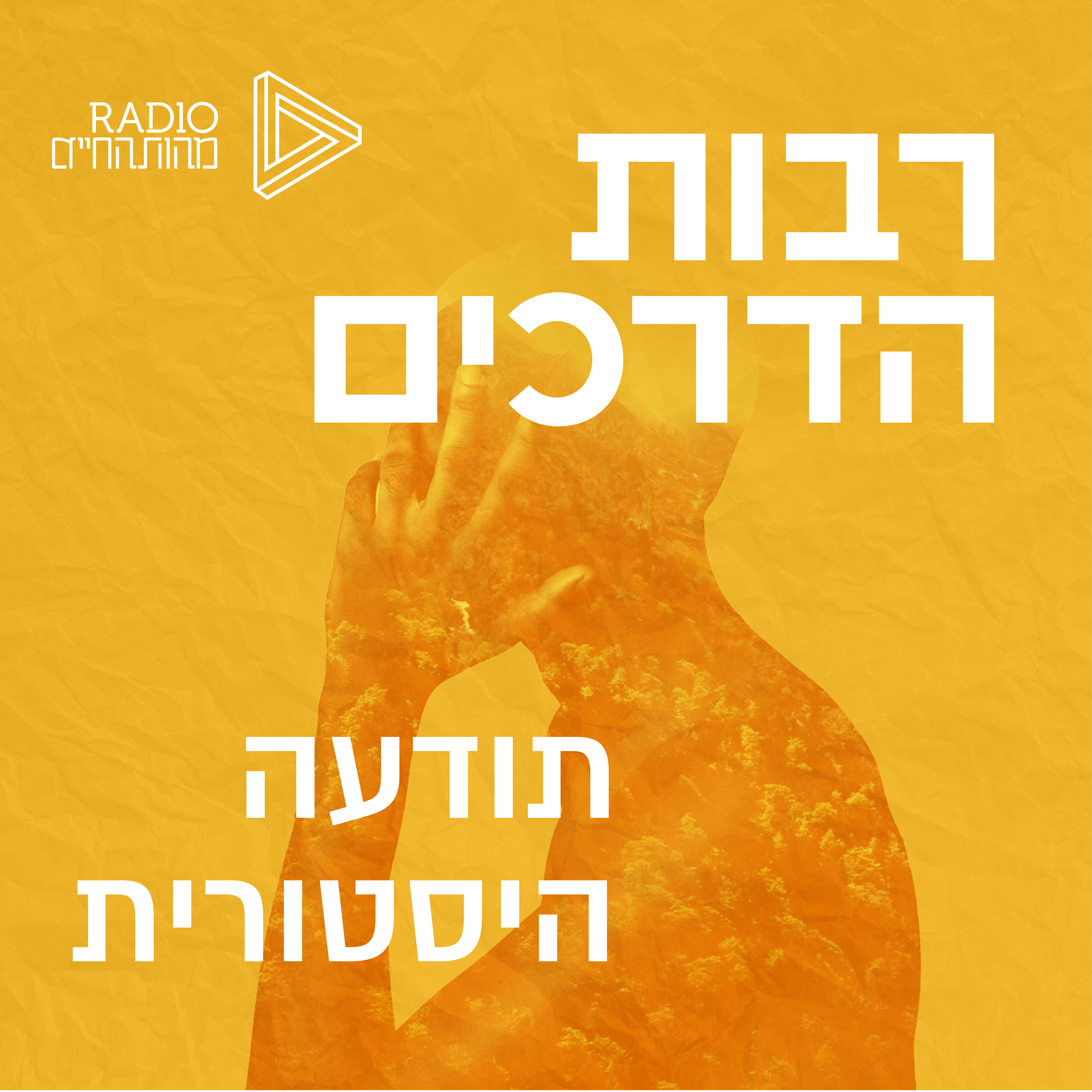 תודעה היסטורית | רן לוי