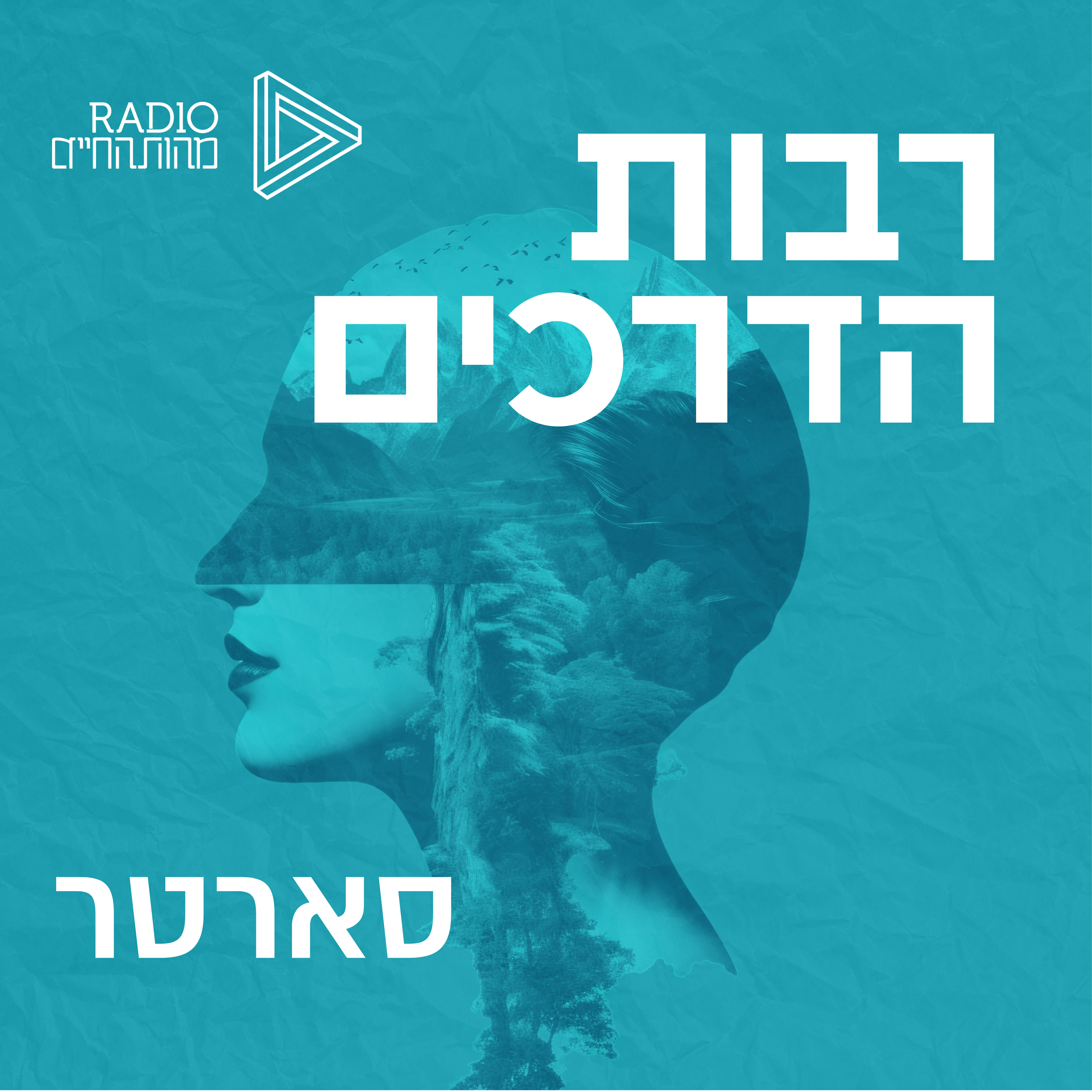 סארטר episode artwork