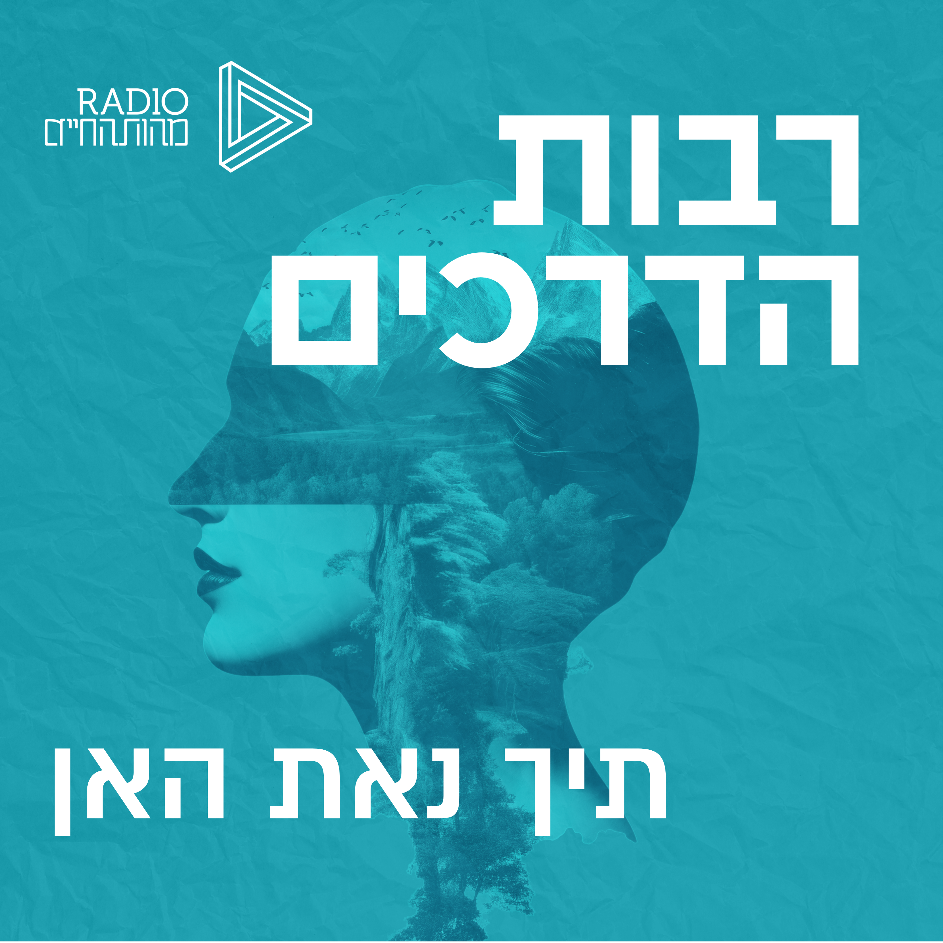 תיך נאת האן episode artwork