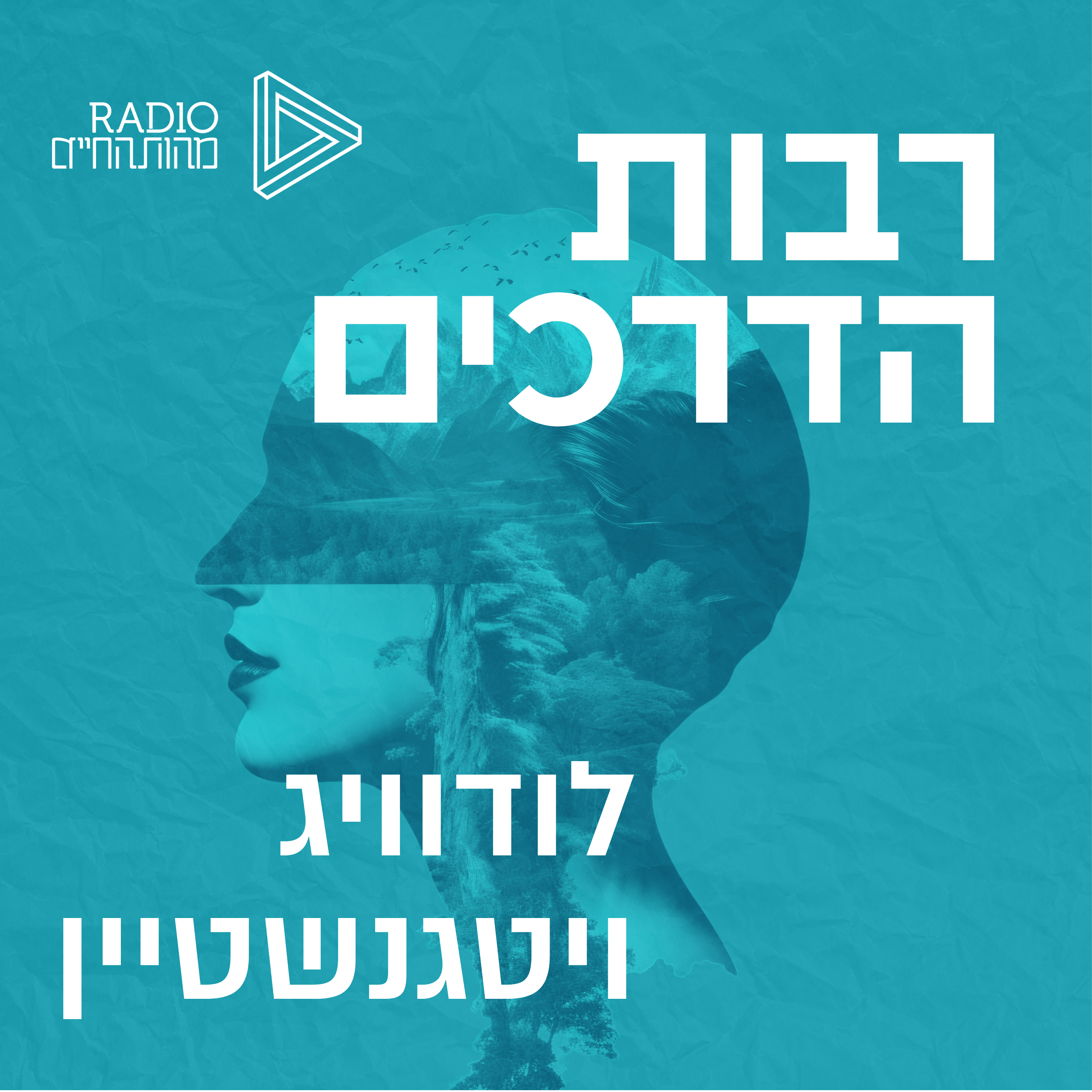 לודוויג ויטגנשטיין