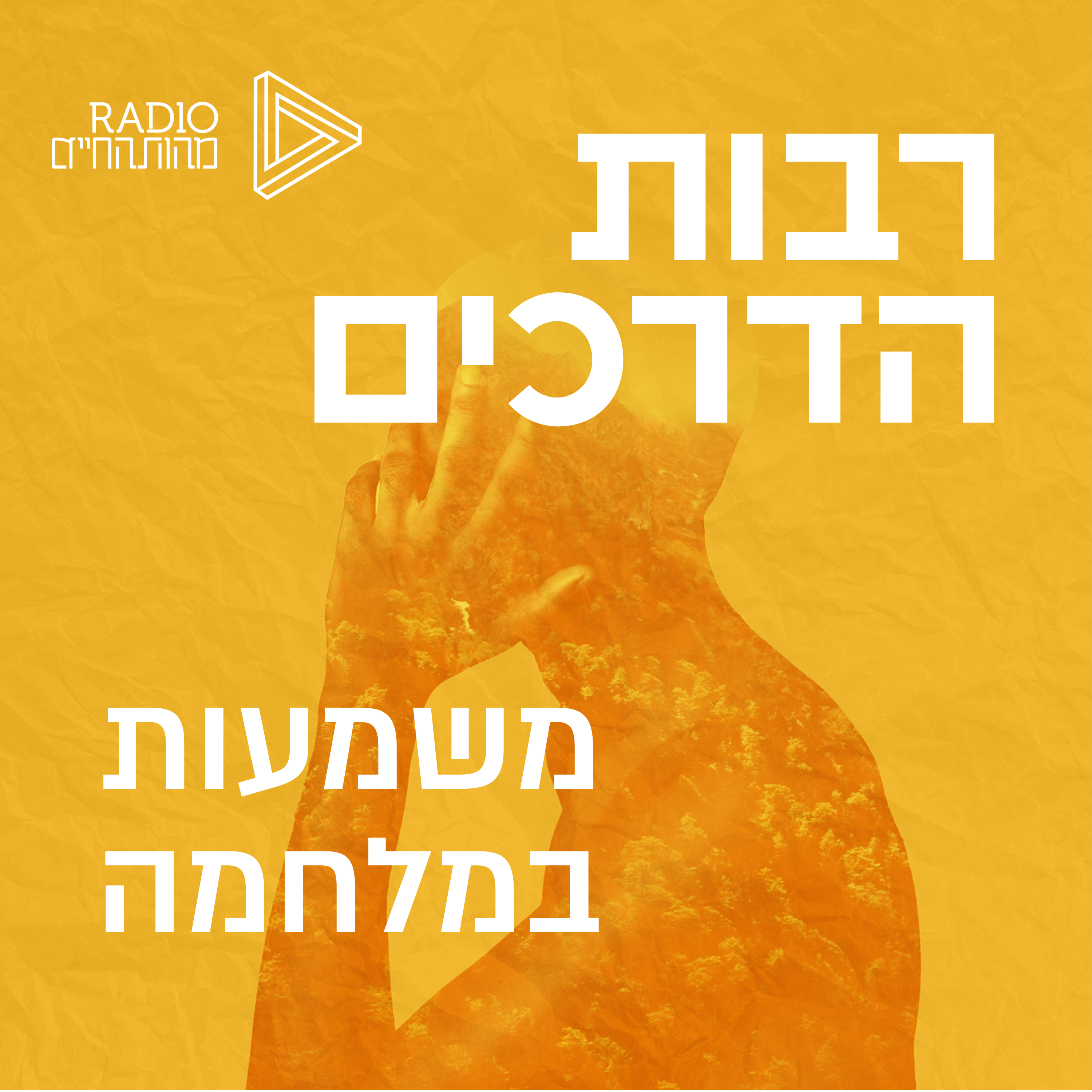 משמעות בזמן מלחמה