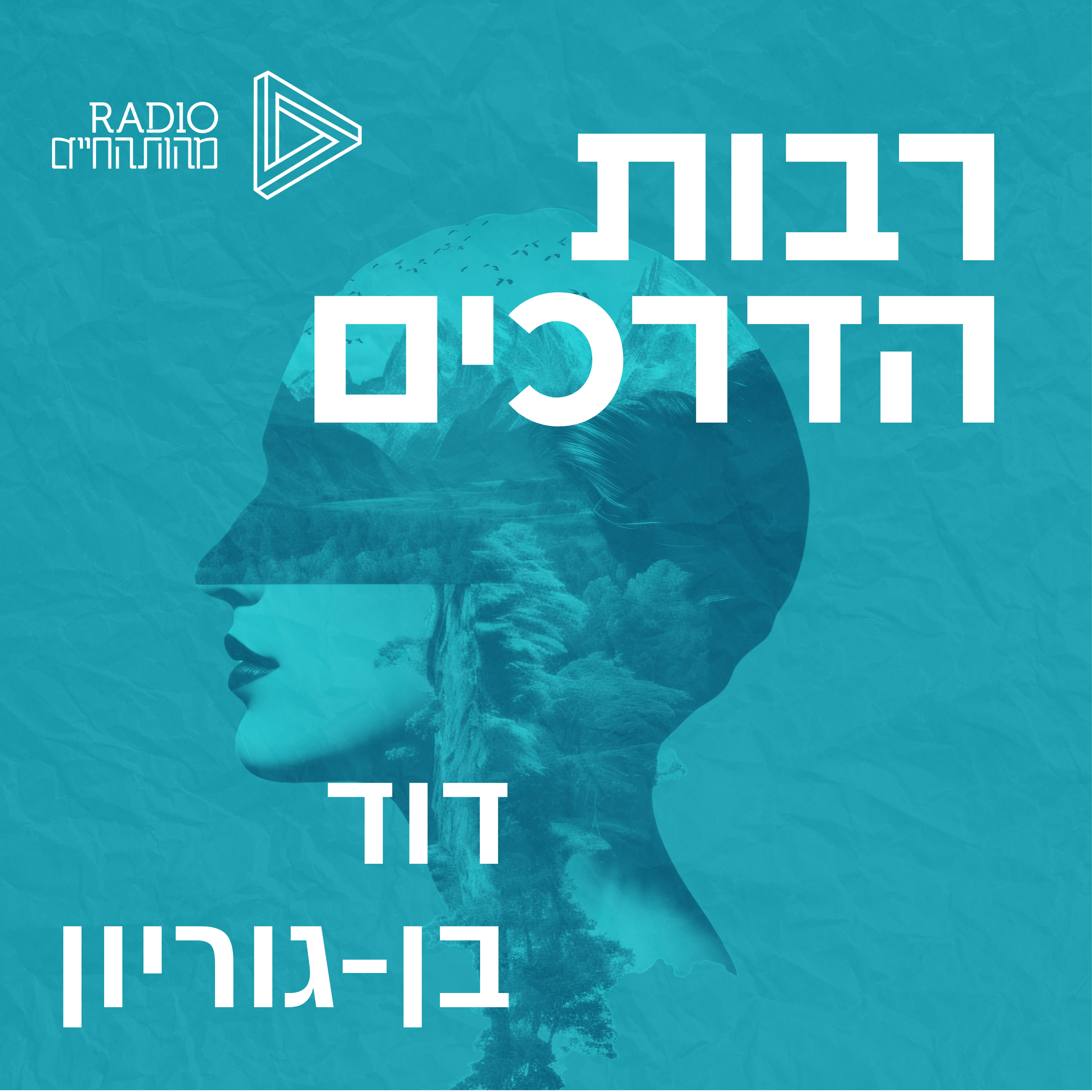 דוד בן - גוריון