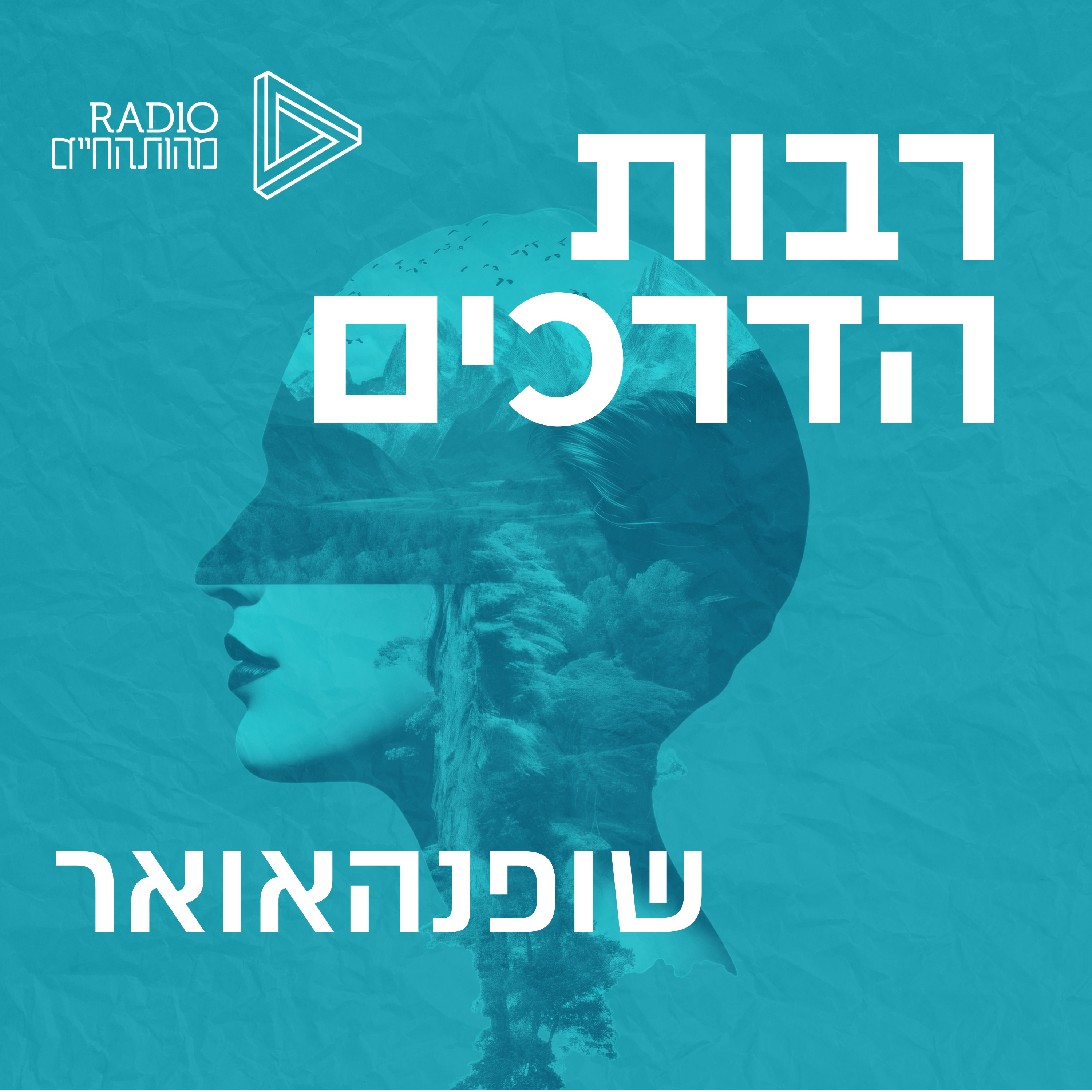 ארתור שופנהאואר