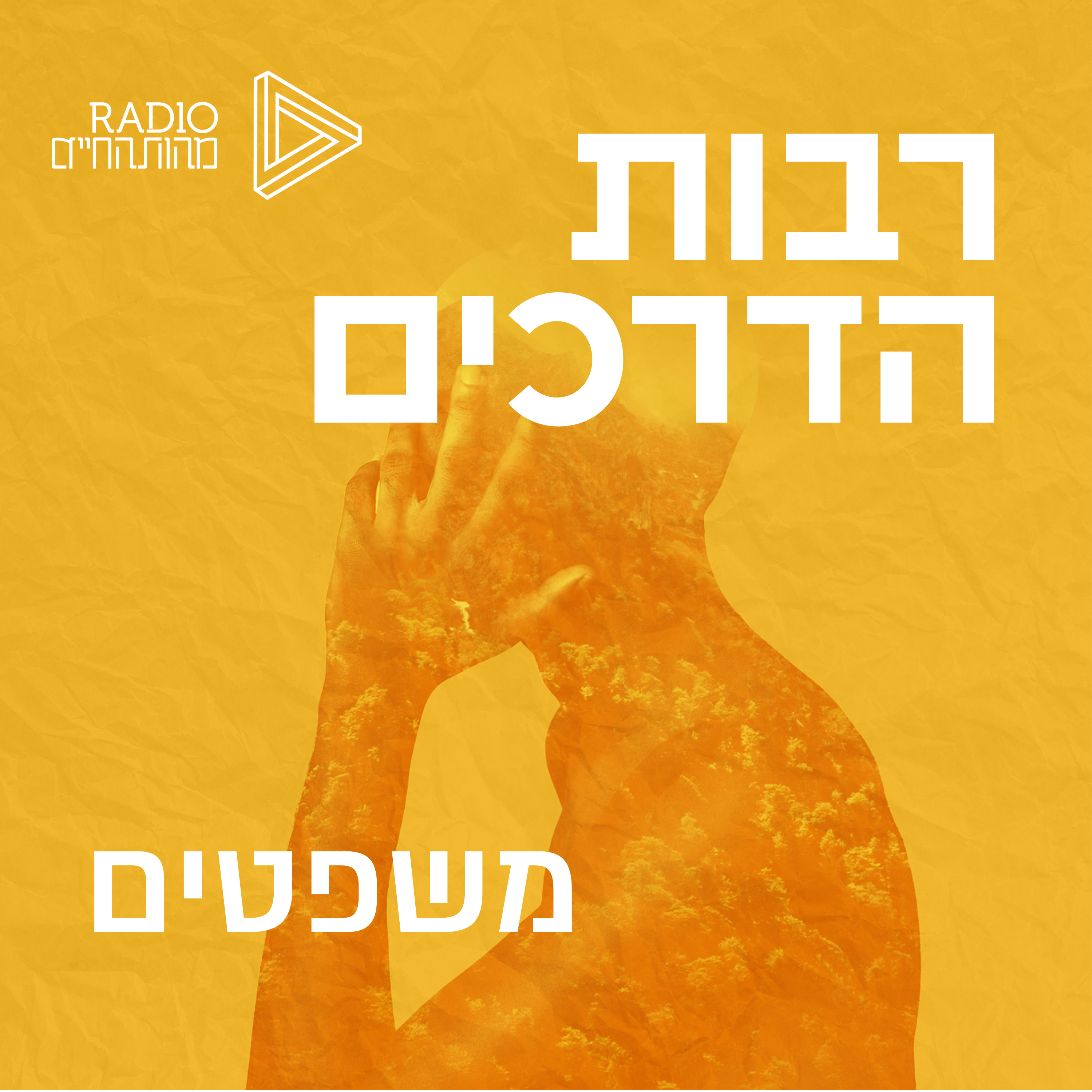 משפט באהבה | השופט בדימוס שלמה שוהם episode artwork