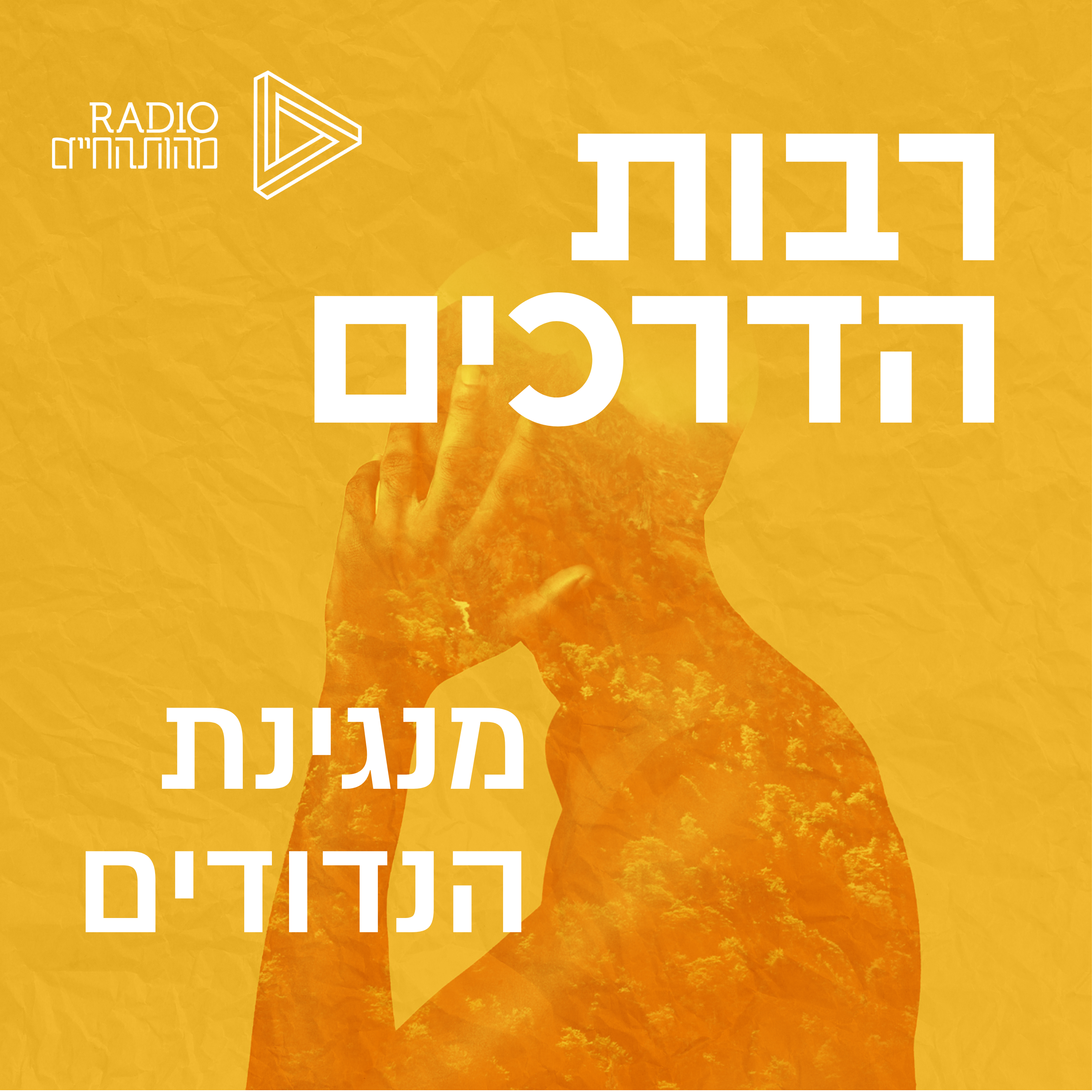 מנגינת הנדודים | שיח נוודים חובק עולם ורוח