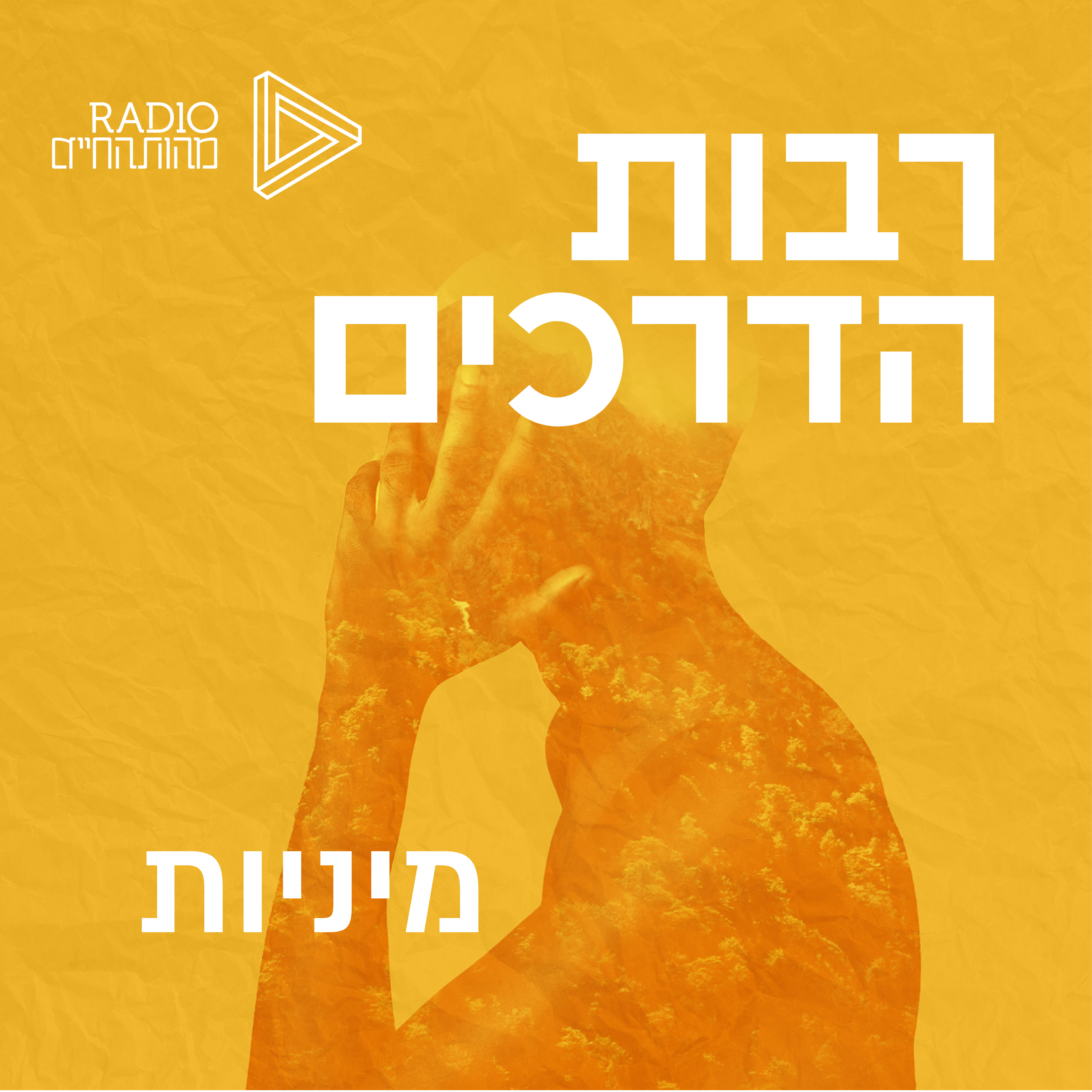 מיניות בעידן החדש | דורית בר episode artwork