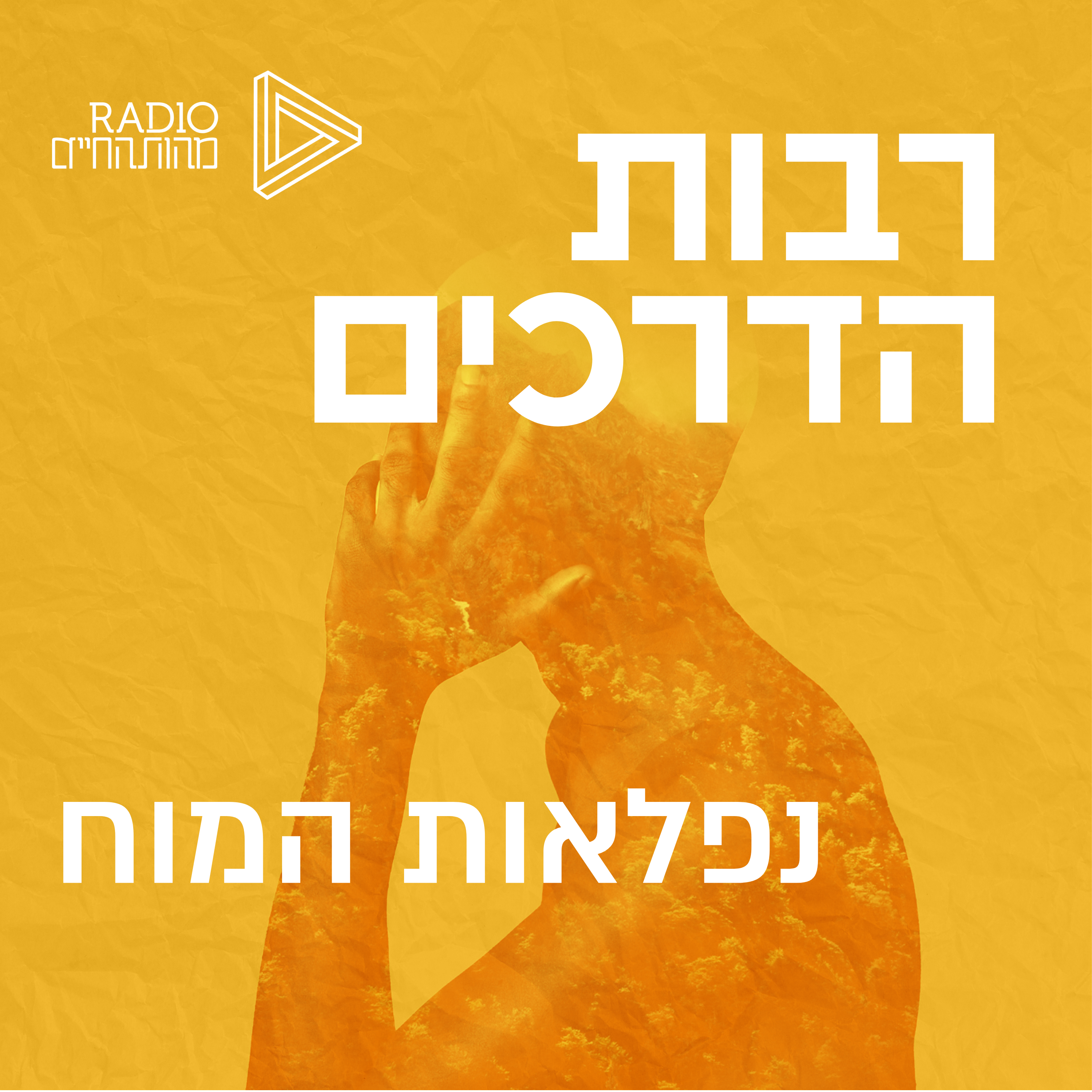 נפלאות המוח | חלק א' episode artwork