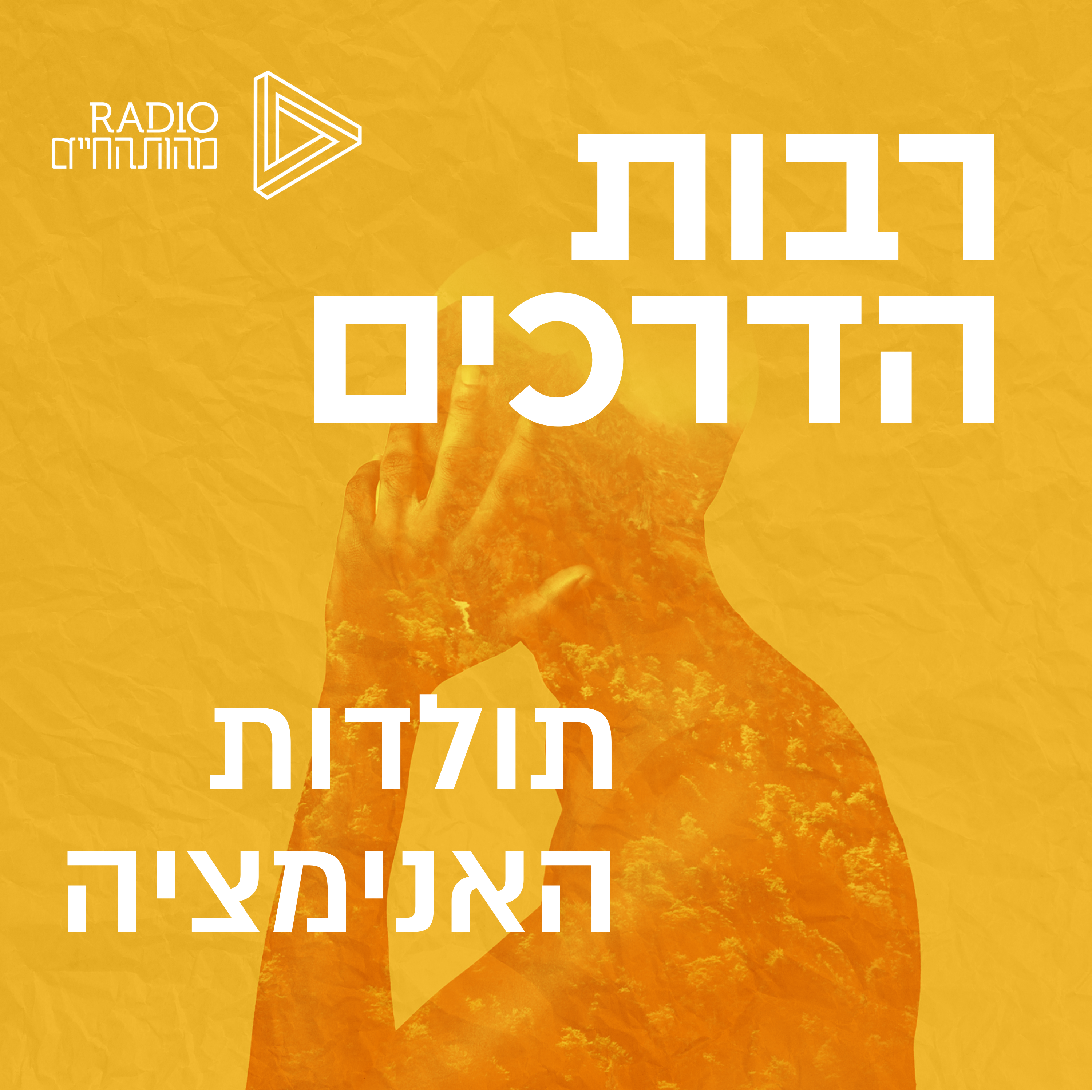 תולדות האנימציה | תמי ברנשטיין episode artwork