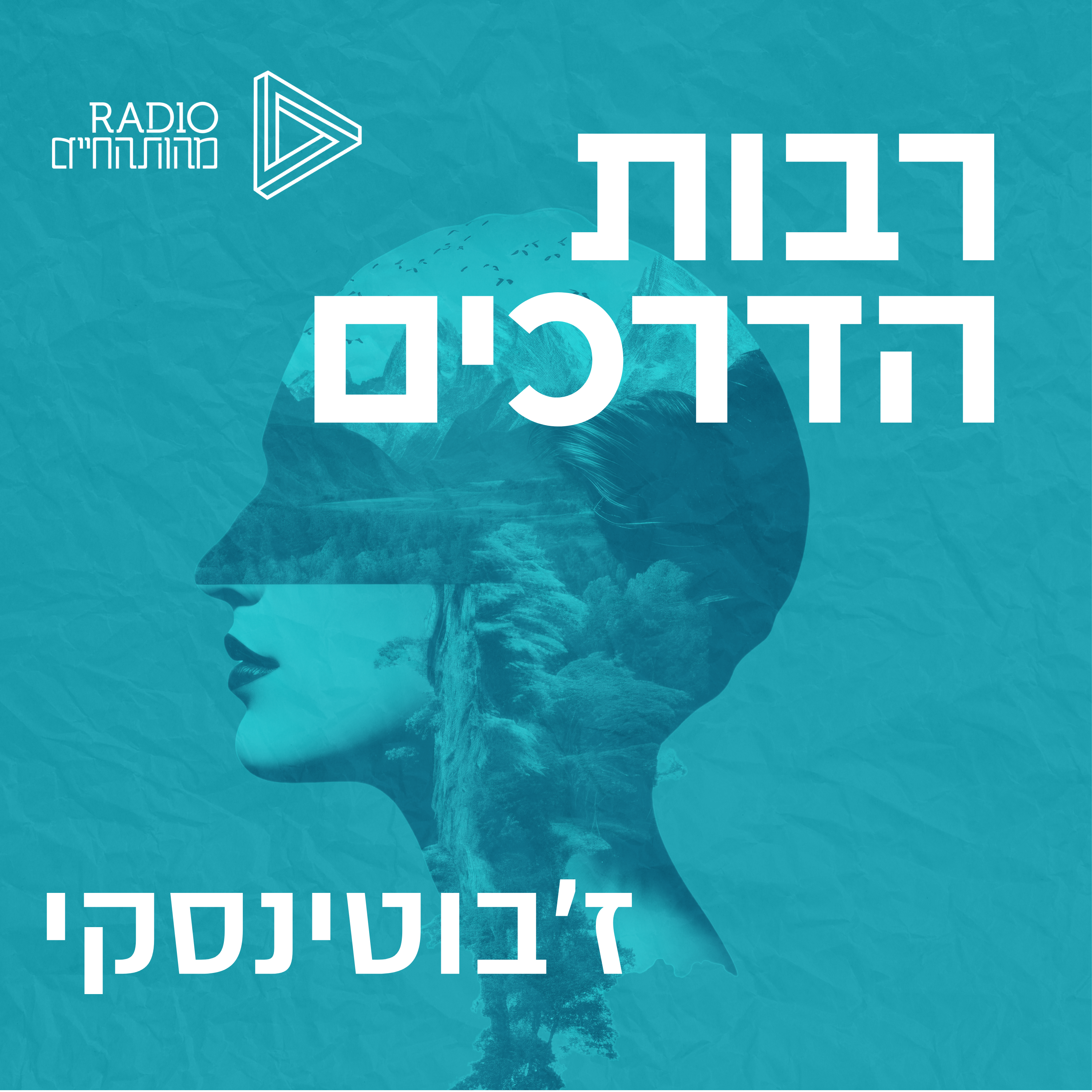 זאב ז'בוטינסקי