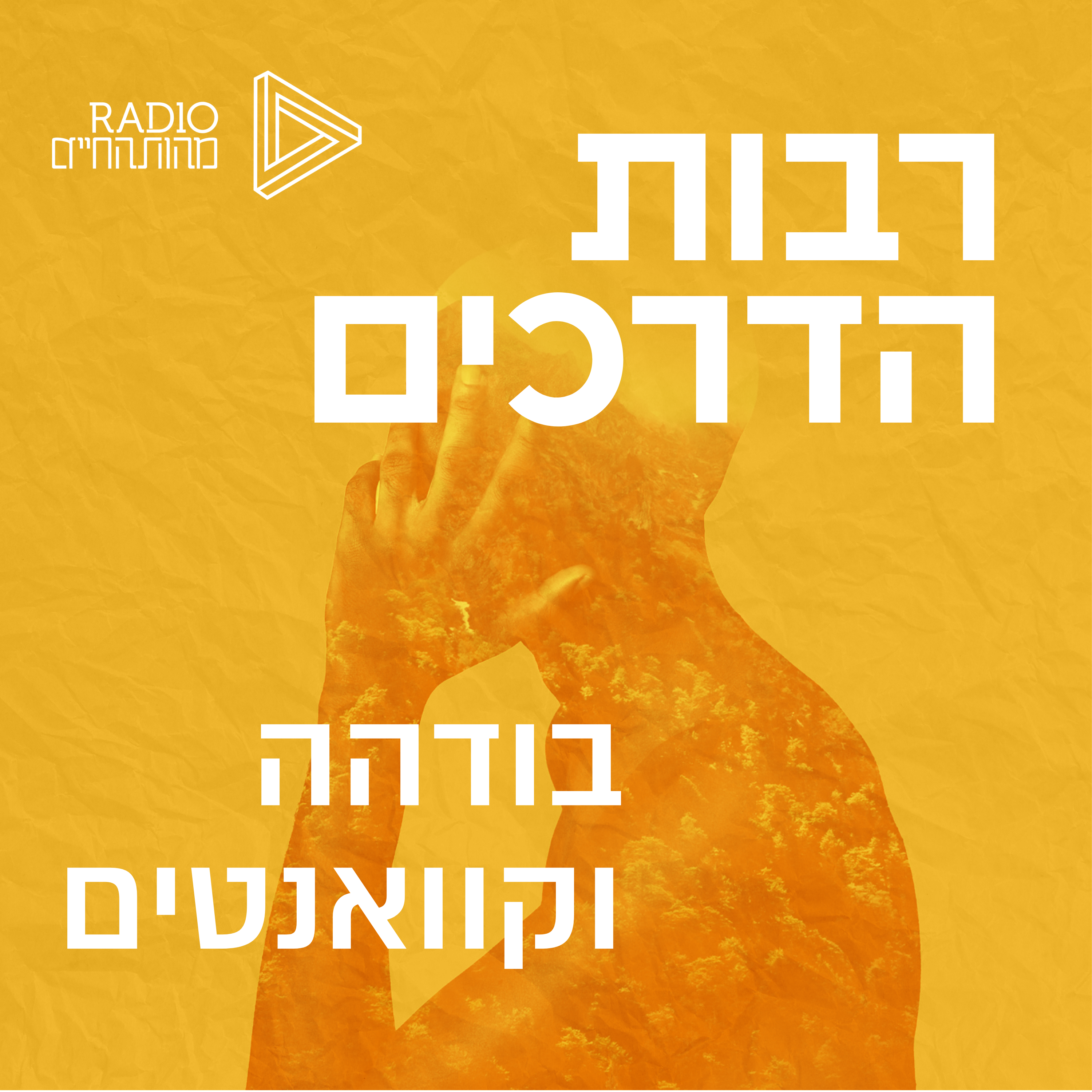 בודהה וקוואנטים episode artwork