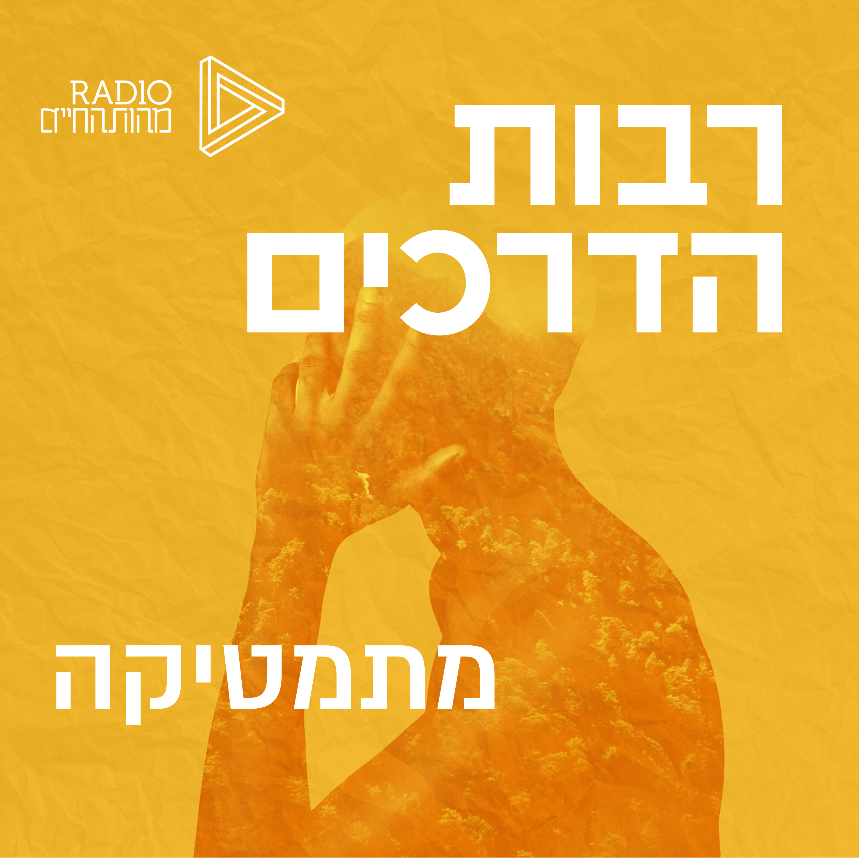 המתמטיקה כשפת התודעה