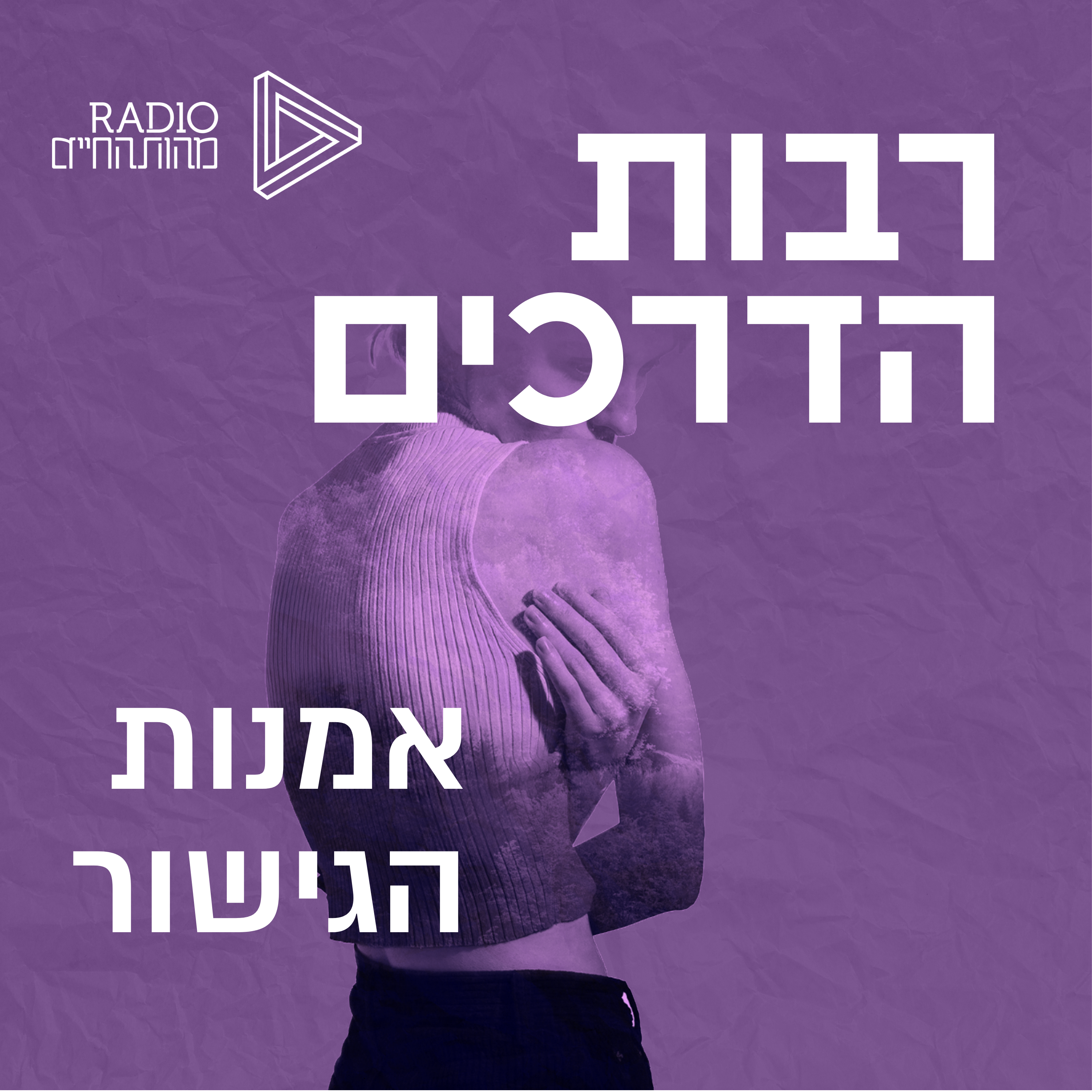 אמנות הגישור episode artwork