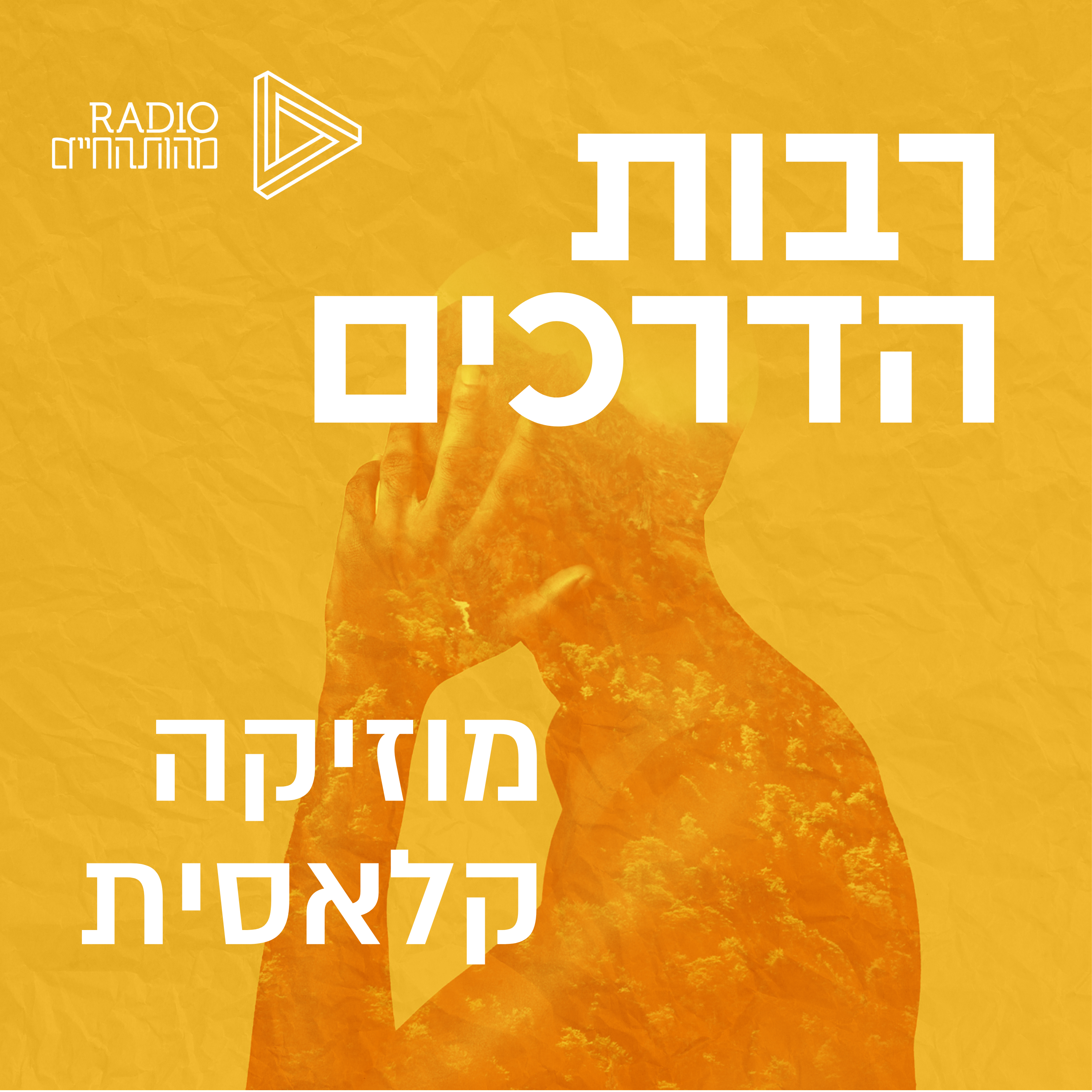 סודות המוזיקה הקלאסית | יעל צ'רני episode artwork