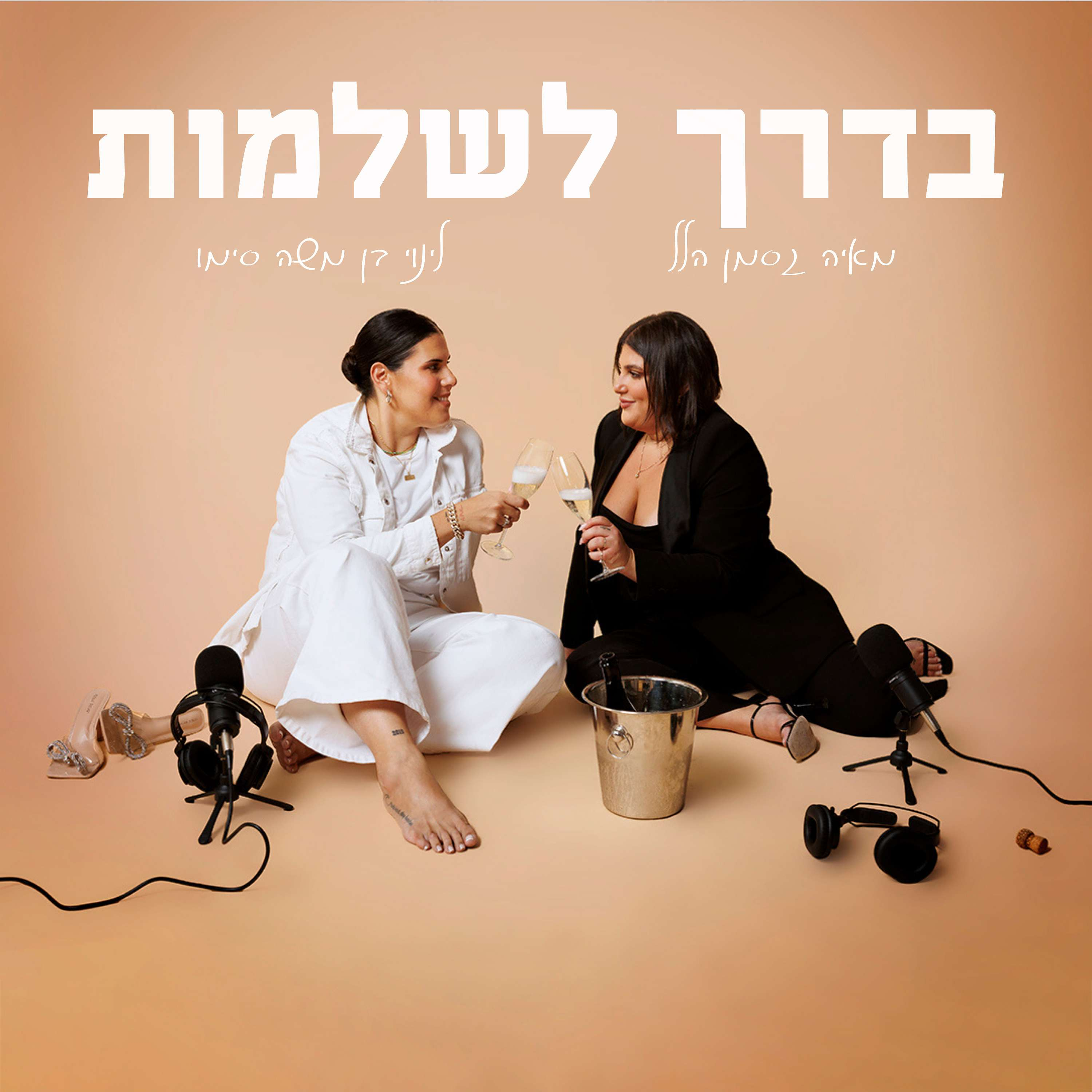 פרק 23 : ערך עצמי, הטרדות מיניות ונשים בעמדות מפתח | בדרך לשלמות episode artwork