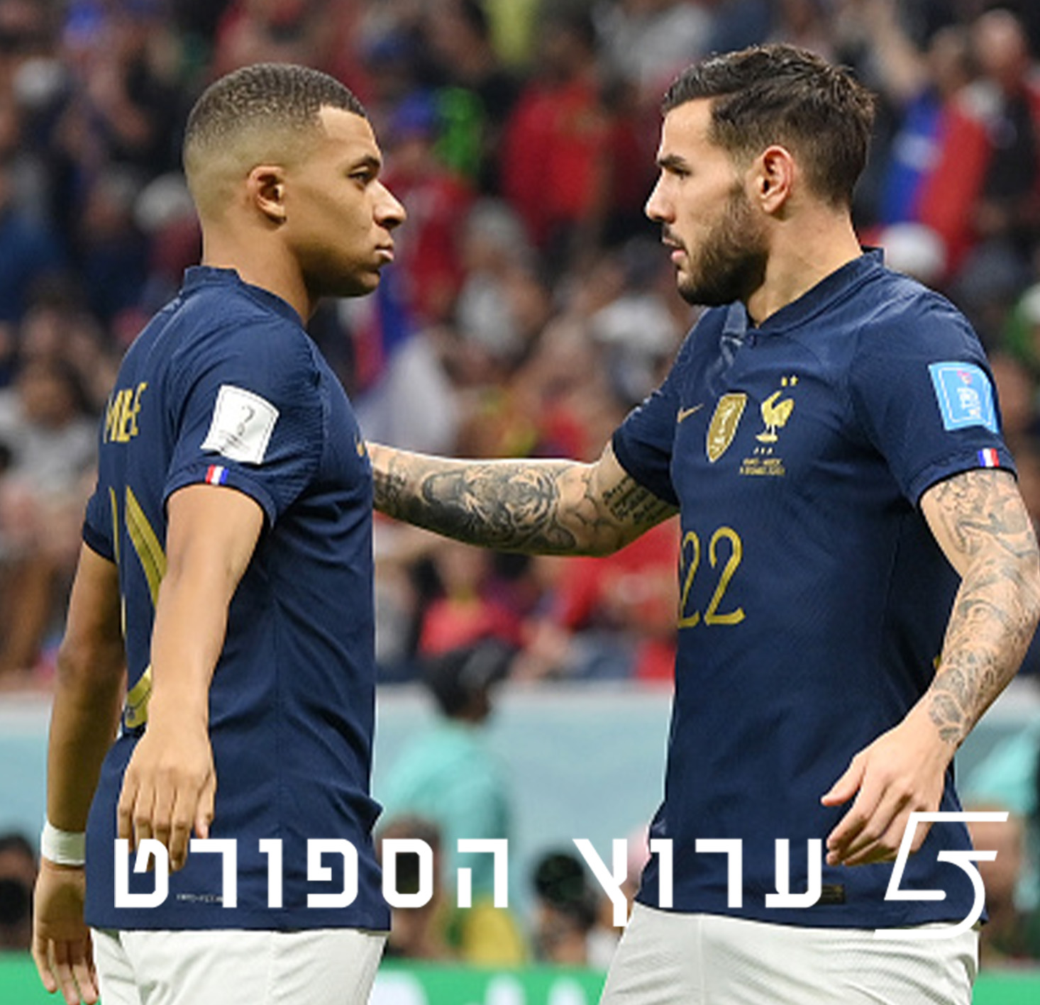 האלופה רוצה בק-טו-בק