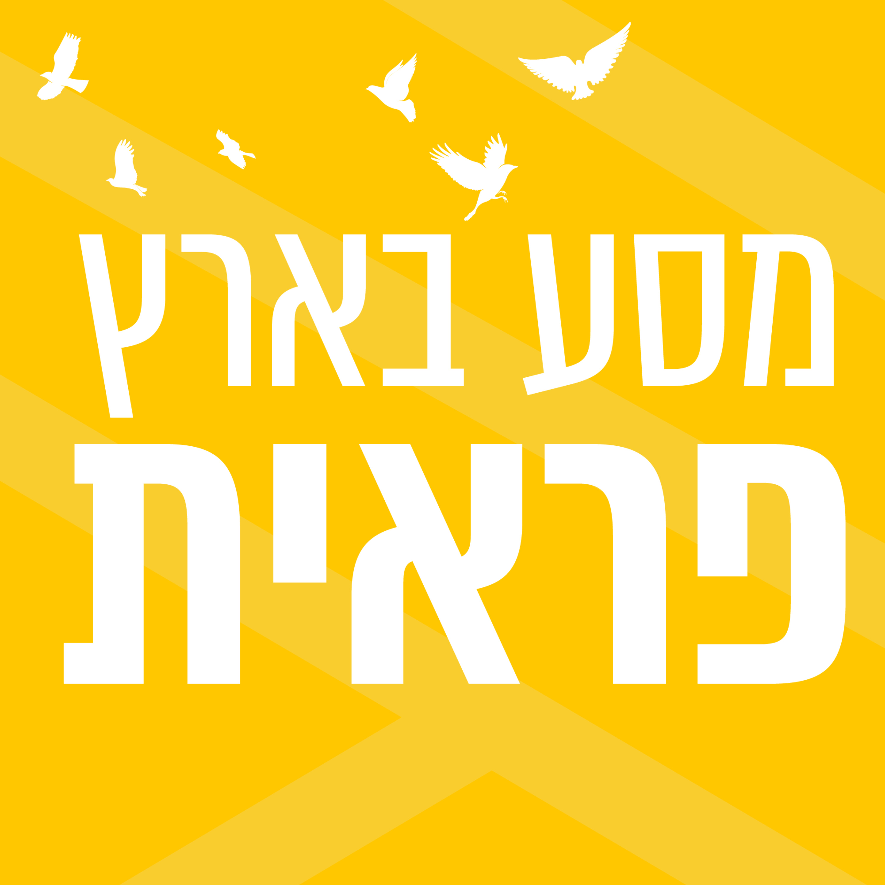 מסע בארץ פראית | אילן לורנצי